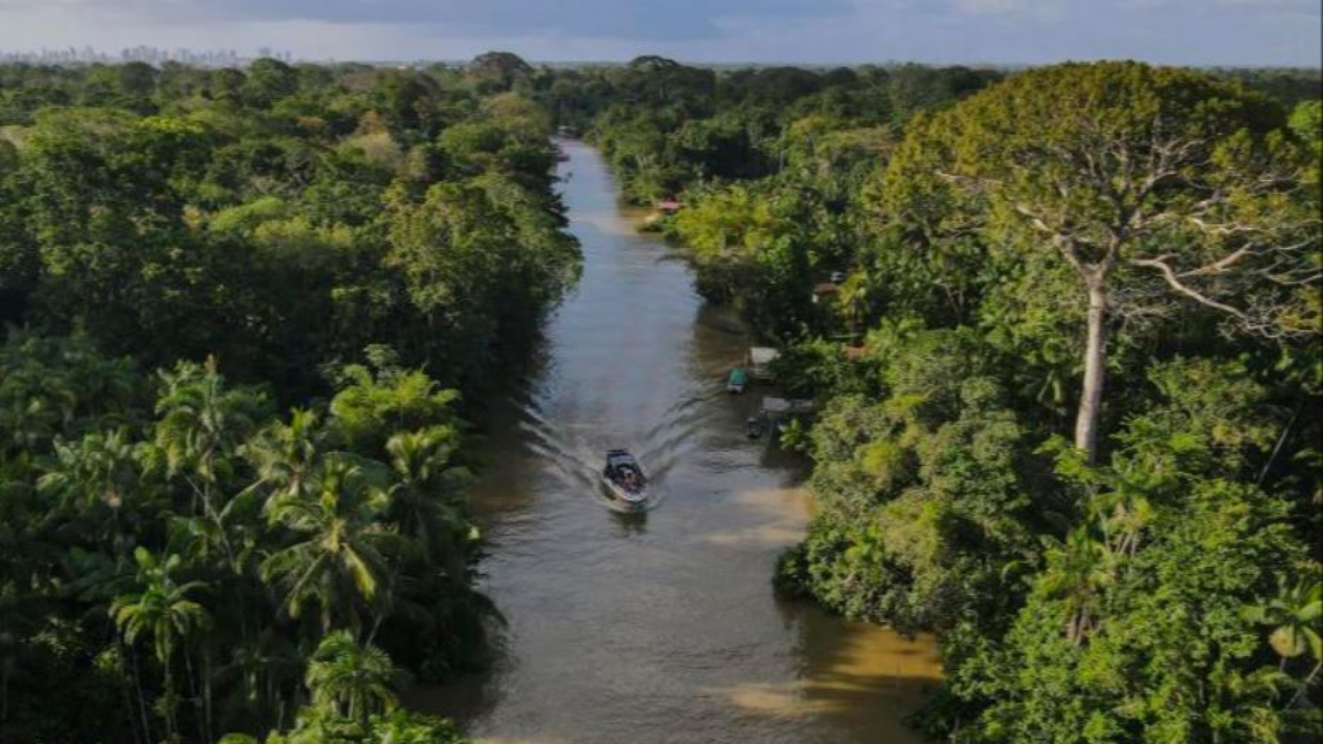 Immagine di Disimparare e rimparare con i popoli. La sfida della Conferenza dell’Amazzonia