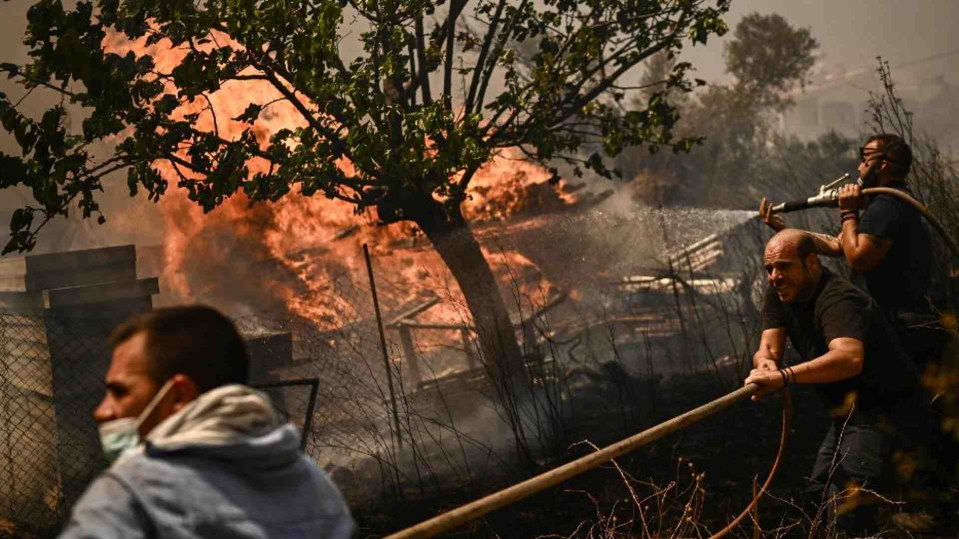 Immagine di Boschi in fiamme in Grecia al confine turco: arsi vivi 26 immigrati