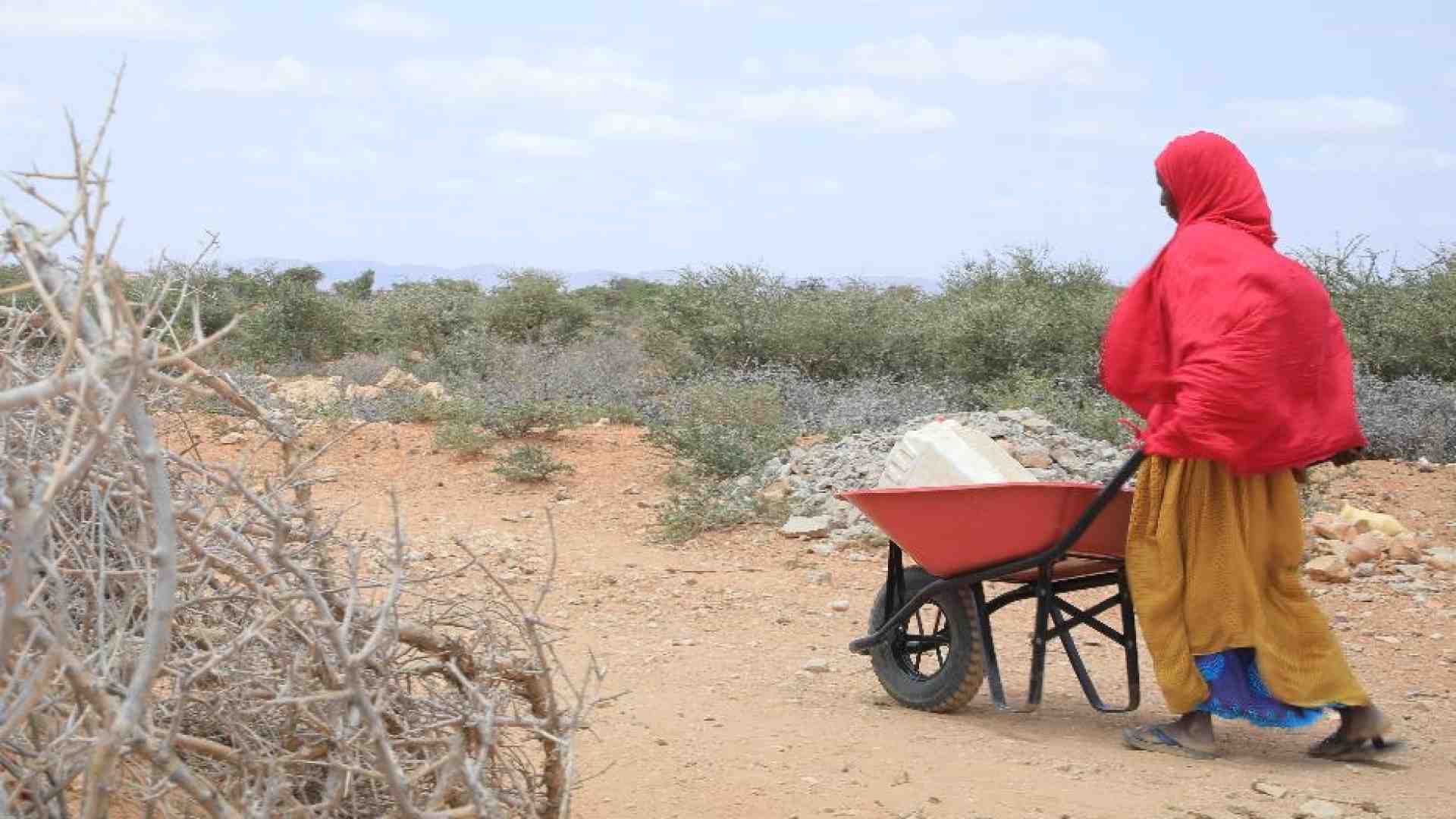 Immagine di Acqua a rischio, «la crisi climatica asseterà il mondo»