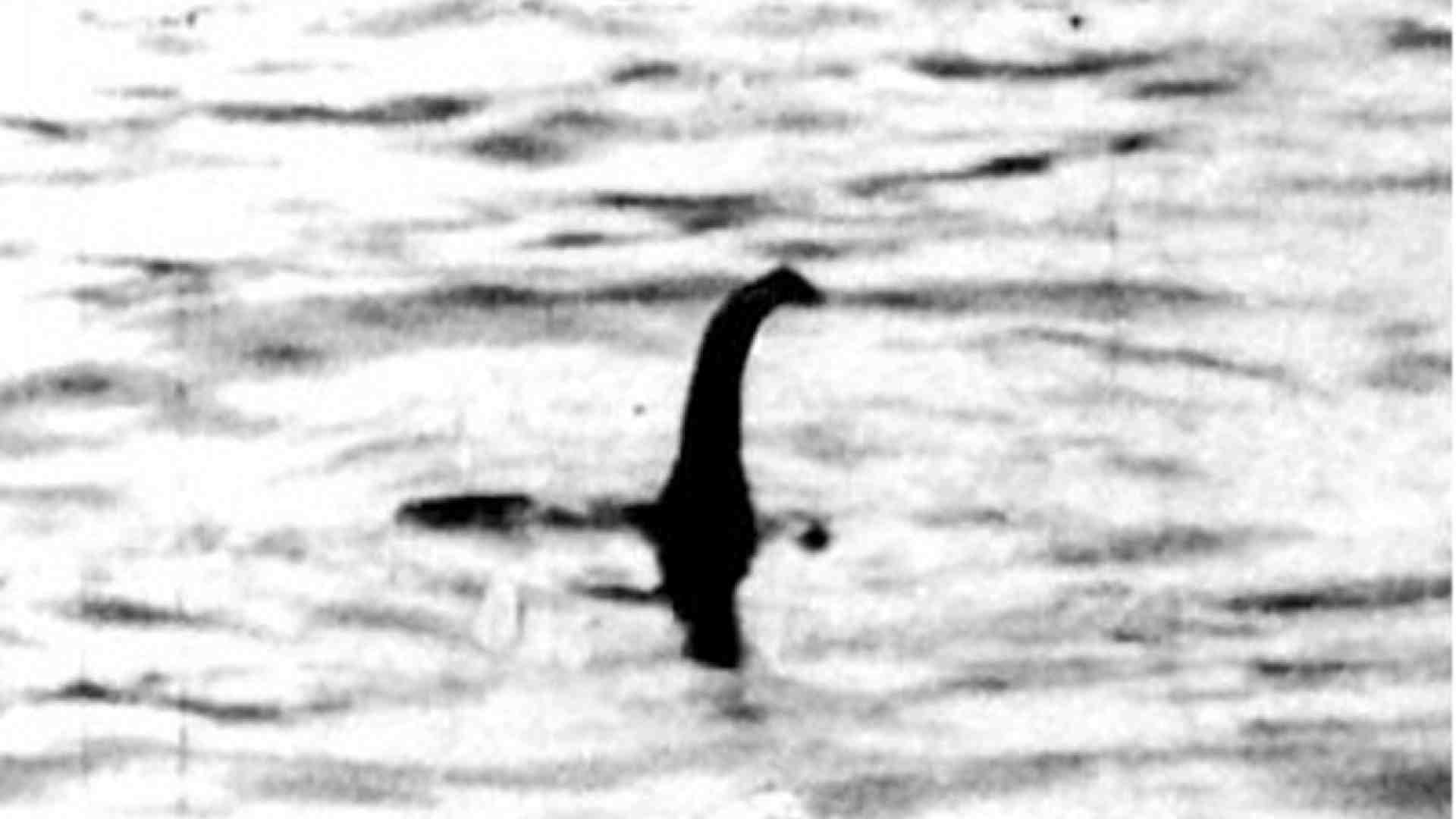 Immagine di Nel lago anche i droni a rilevamento termico per la grande caccia a Nessie