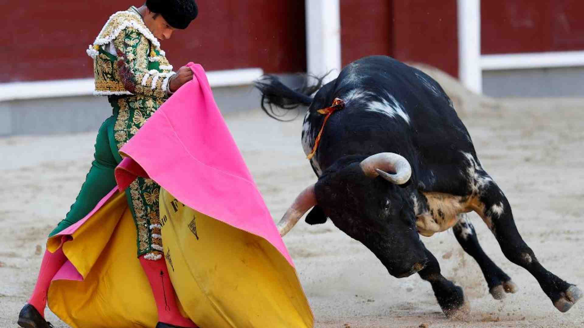 Immagine di L'Unesco boccia le corride: «Non sono patrimonio dell'umanità»