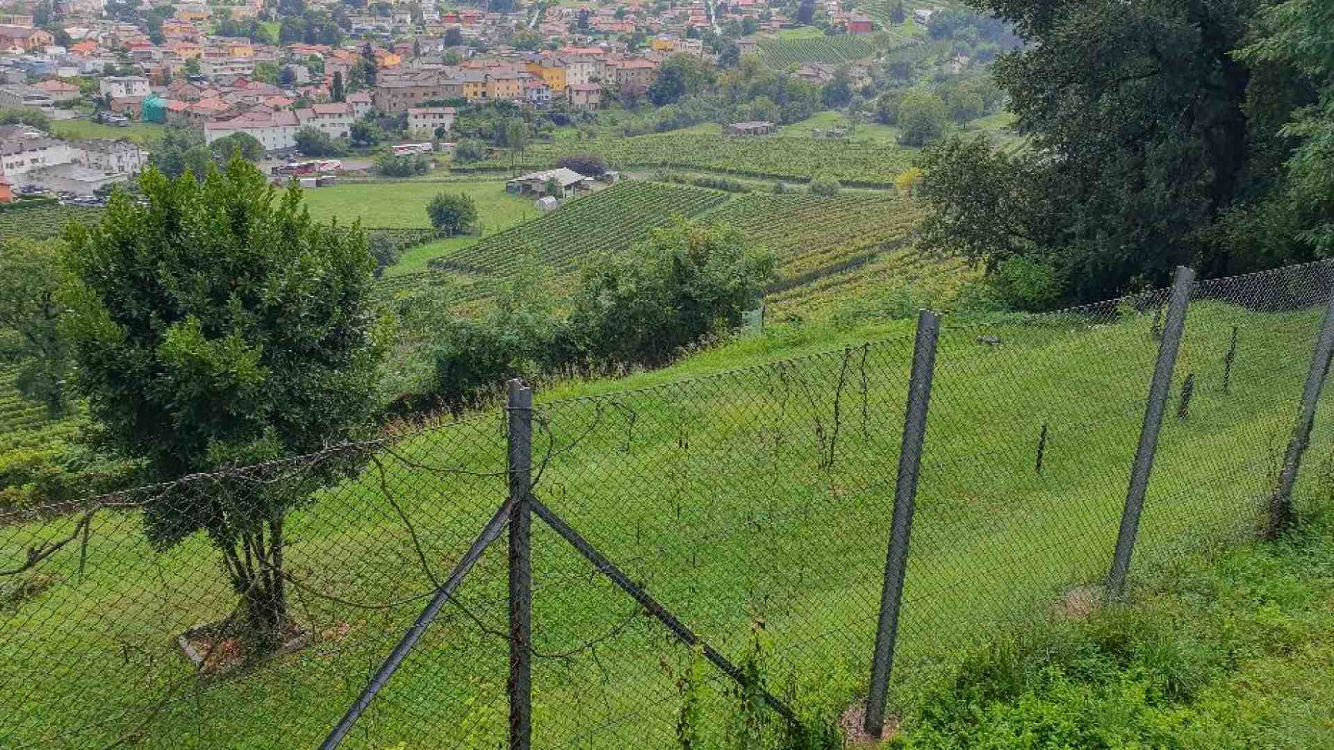 Immagine di Gli eroi di Clivio che aiutarono ebrei e perseguitati a sfuggire ai nazifascisti