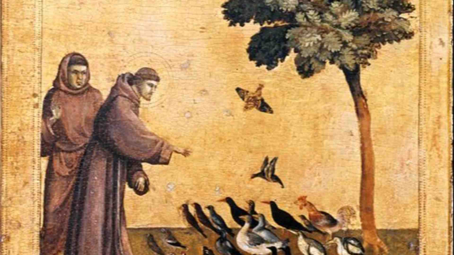 Immagine di Noi e il creato: sfruttamento o custodia?