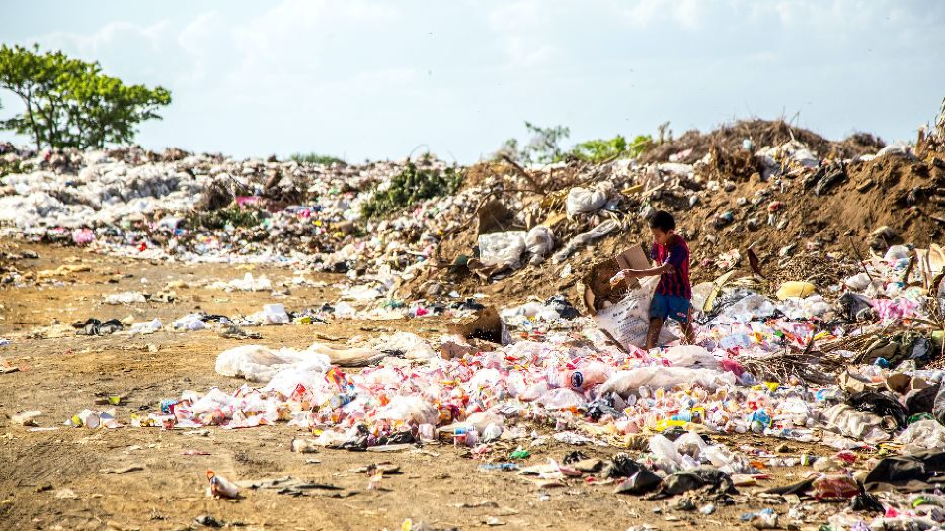 Immagine di Nell'era degli scarti non può esistere ecologia senza giustizia sociale