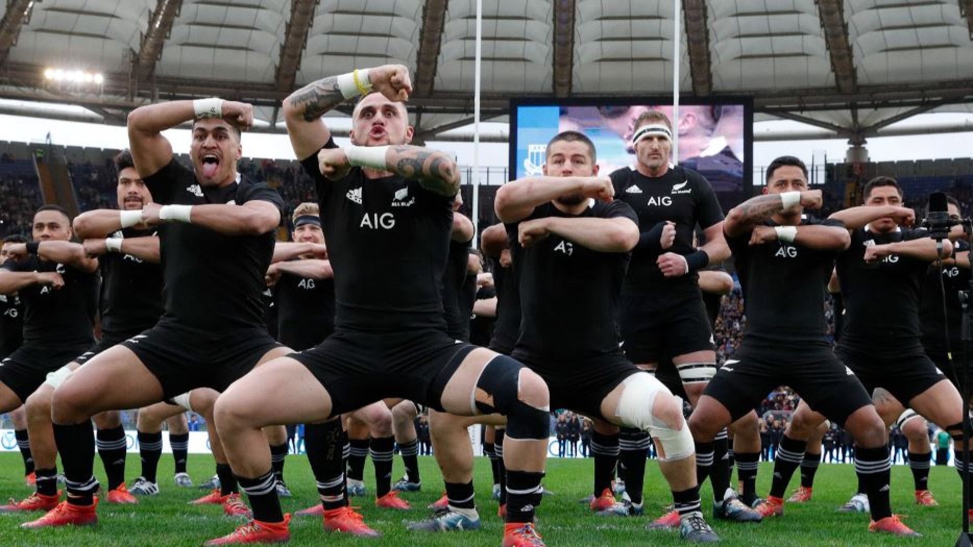 Immagine di Gli azzurri contro i maestri "All Blacks"