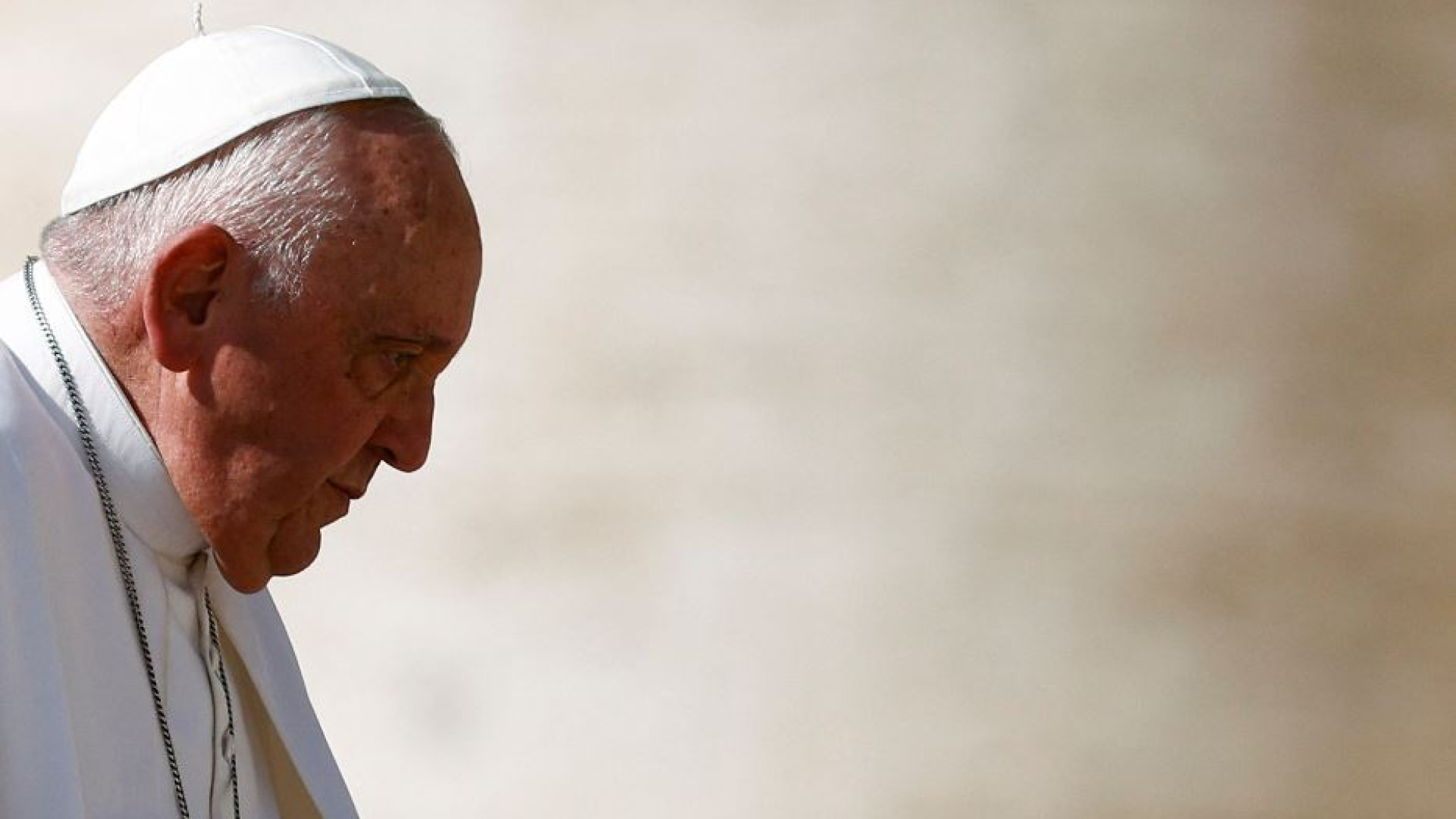 Immagine di Il Papa: servono imprenditori che non guardano solo al profitto