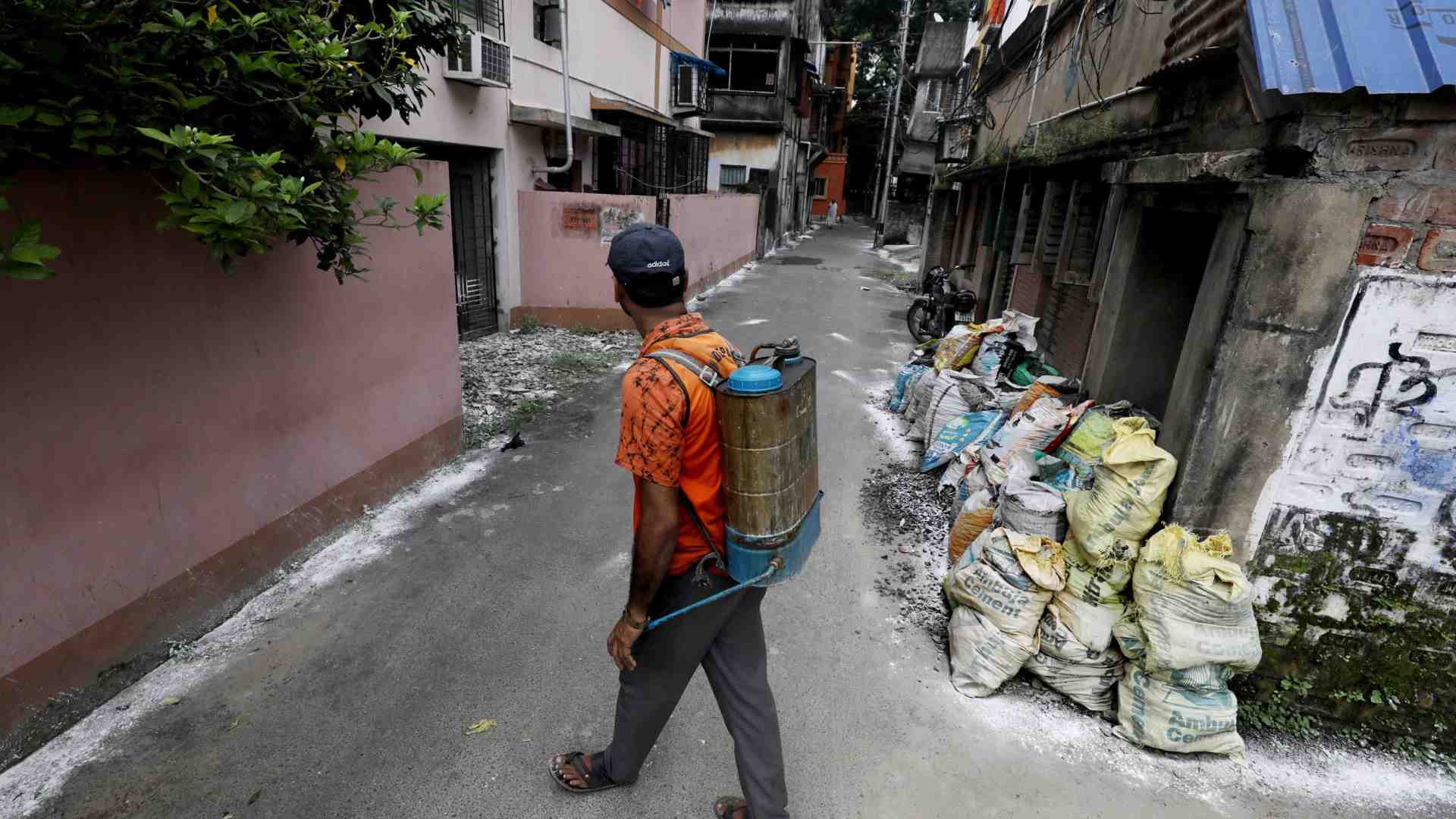 Immagine di Allarme dengue, più di mille i morti dall'inizio dell'anno