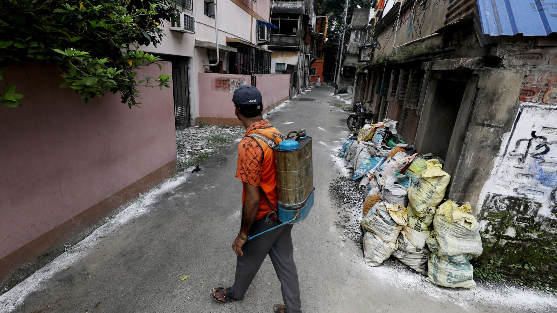 Immagine di Allarme dengue, più di mille i morti dall'inizio dell'anno