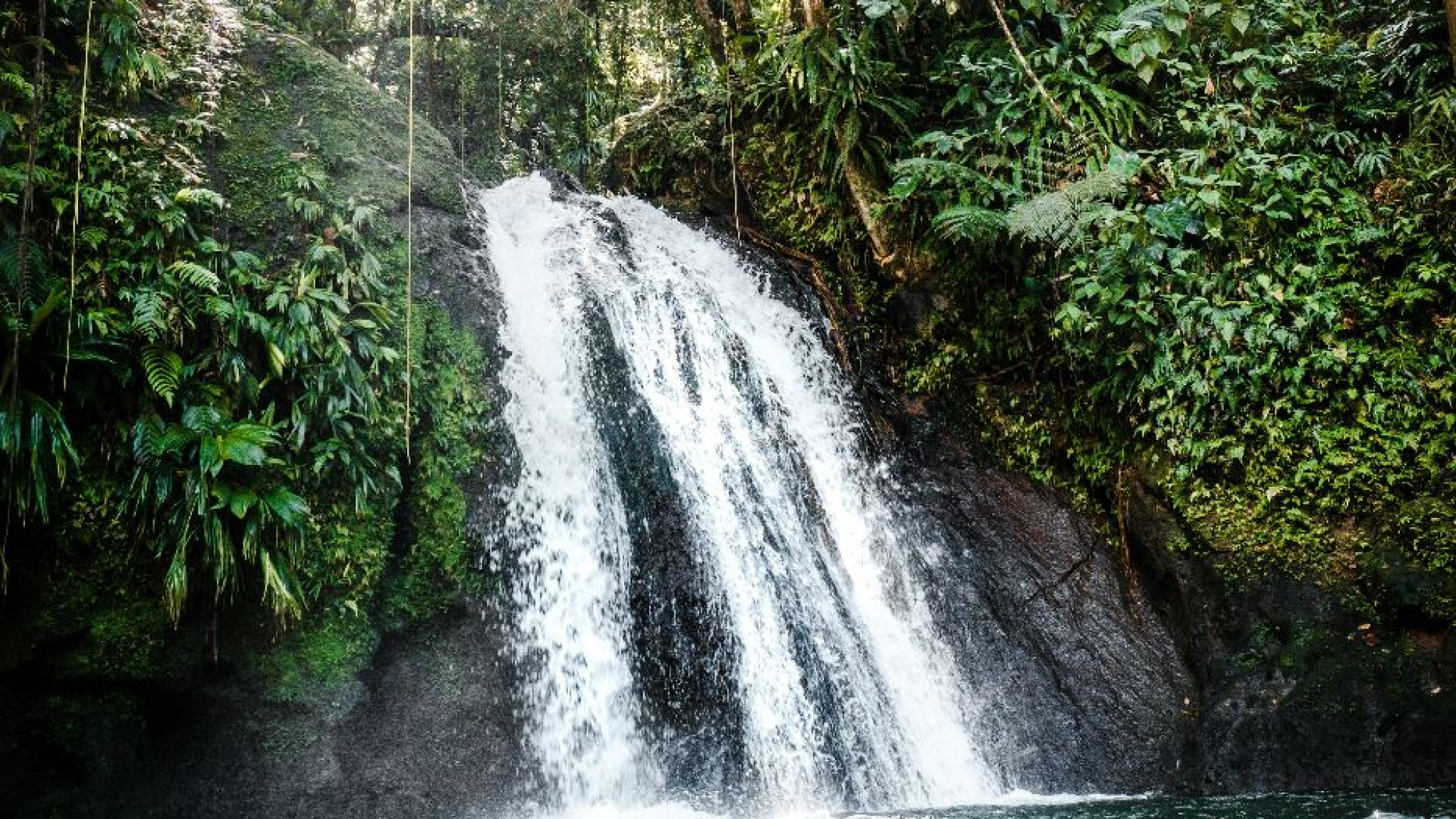 Immagine di Via i debiti per un po' di natura: lo scambio che aiuta i Paesi fragili