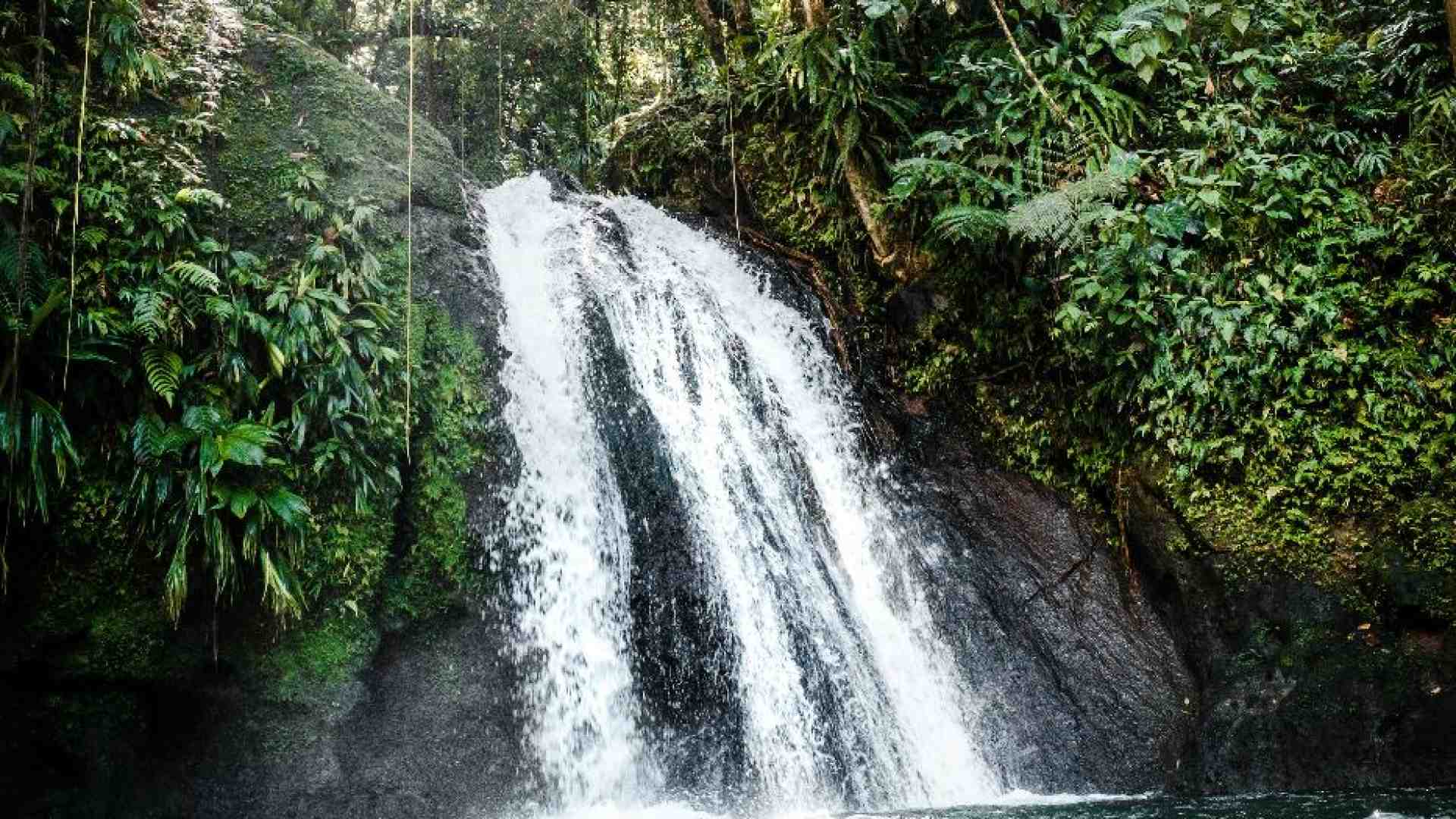Immagine di Via i debiti per un po' di natura: lo scambio che aiuta i Paesi fragili