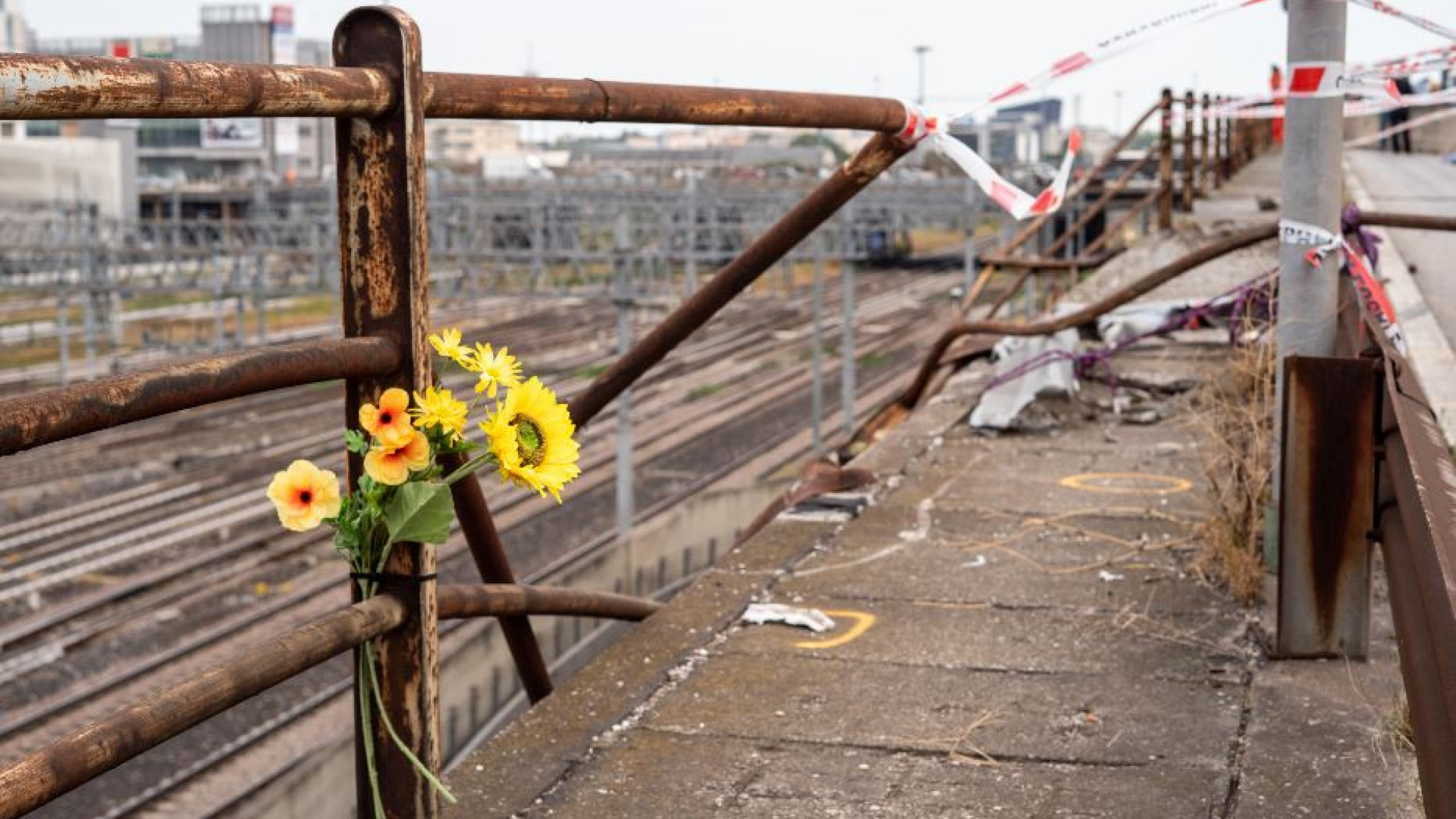 Immagine di Bus caduto, c'era un “buco” nel guardrail? Moraglia: «Quei corpi uno strazio»