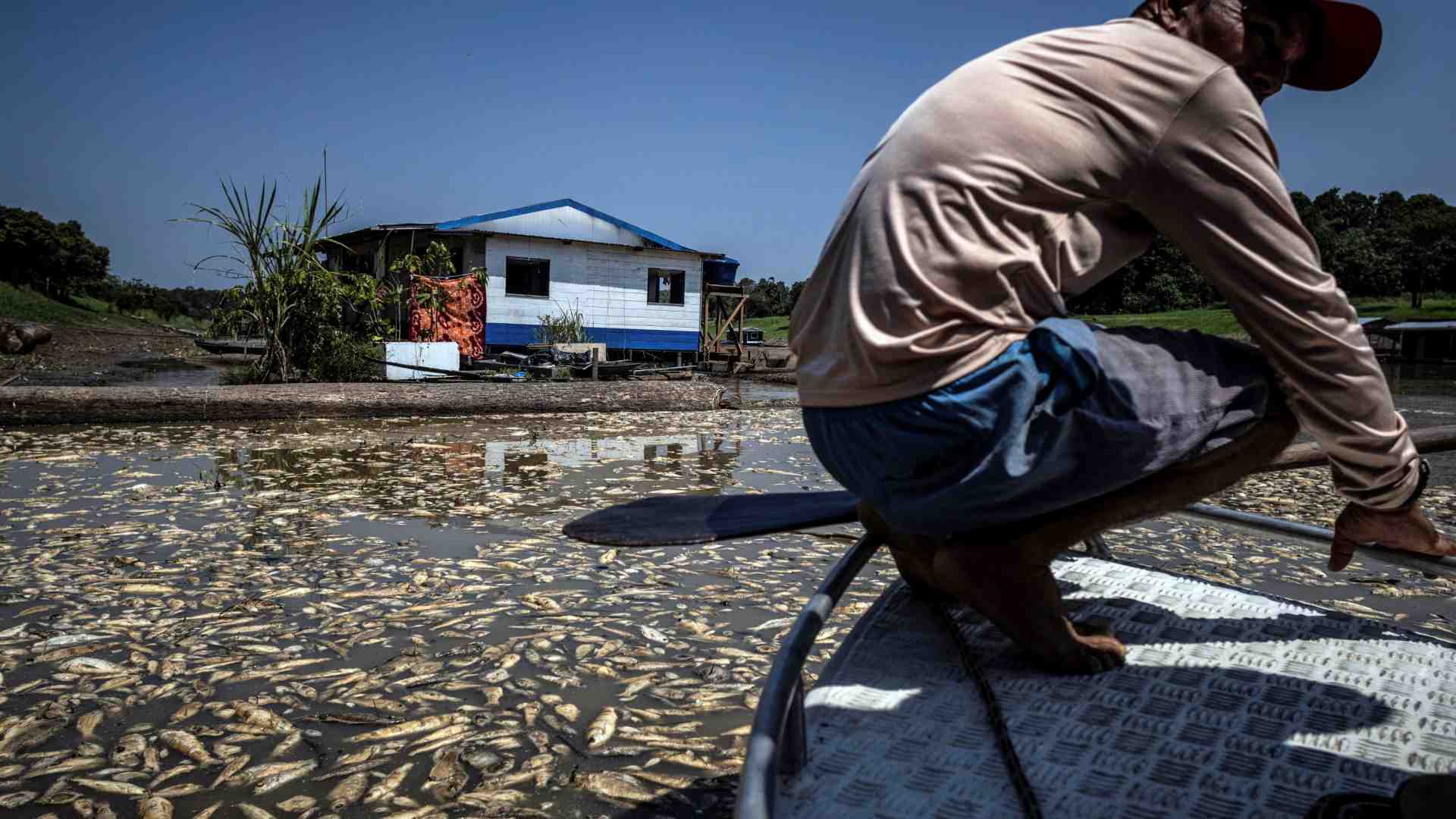 Immagine di Amazzonia a secco, a rischio il popolo del grande fiume