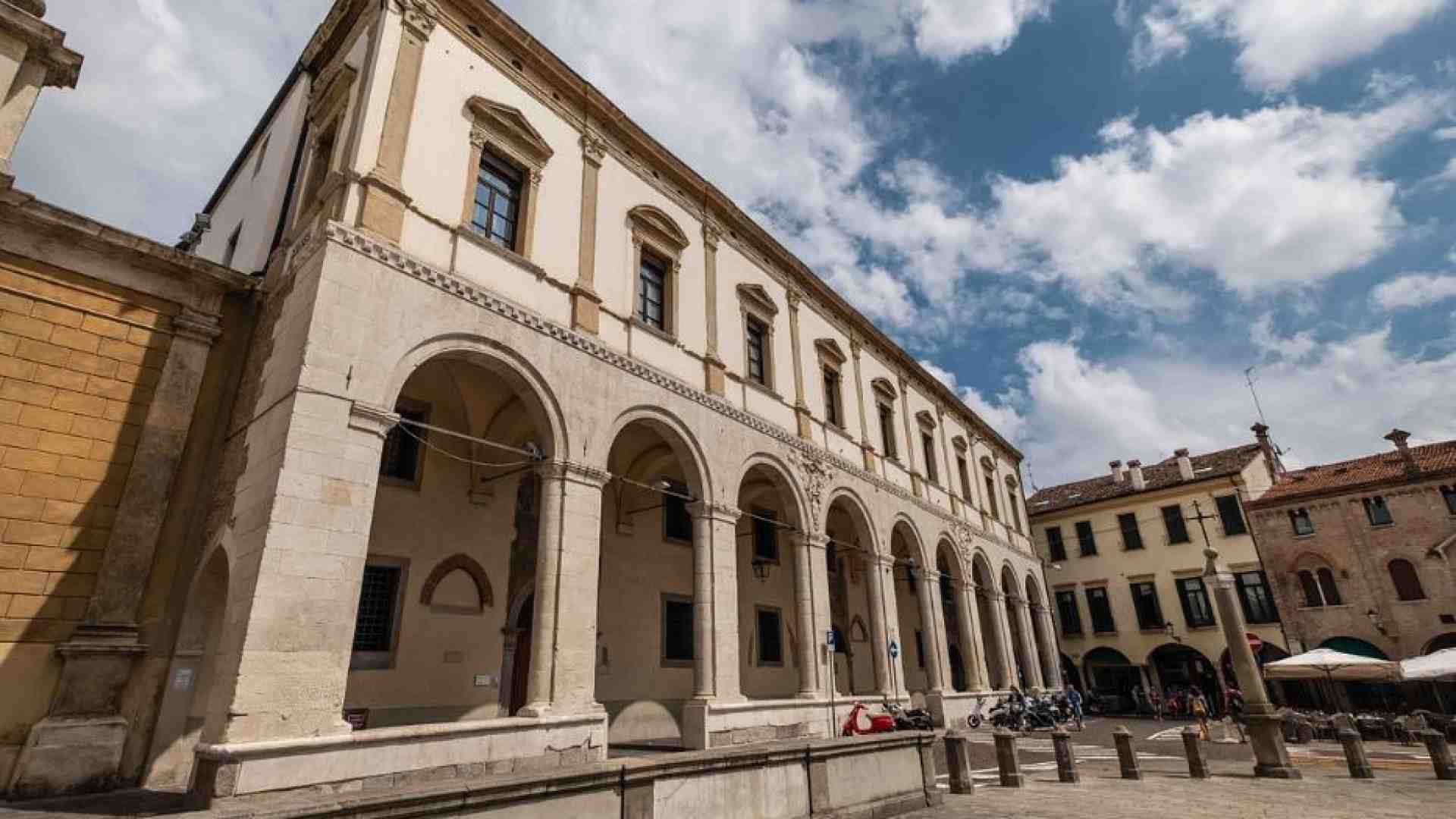 Immagine di L'antica solidarietà del "durante"
