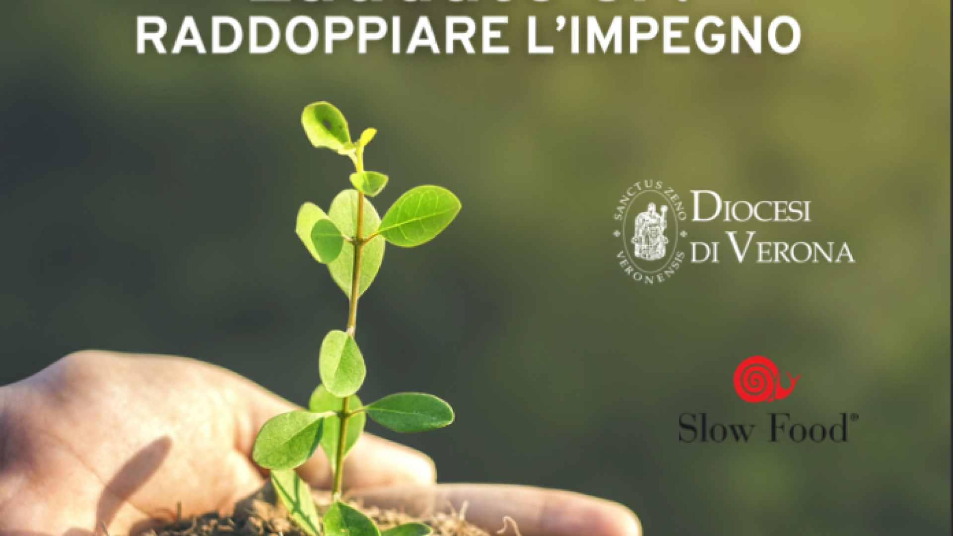 Immagine di Le Comunità Laudato si’ si riuniscono a Verona per “raddoppiare l’impegno”