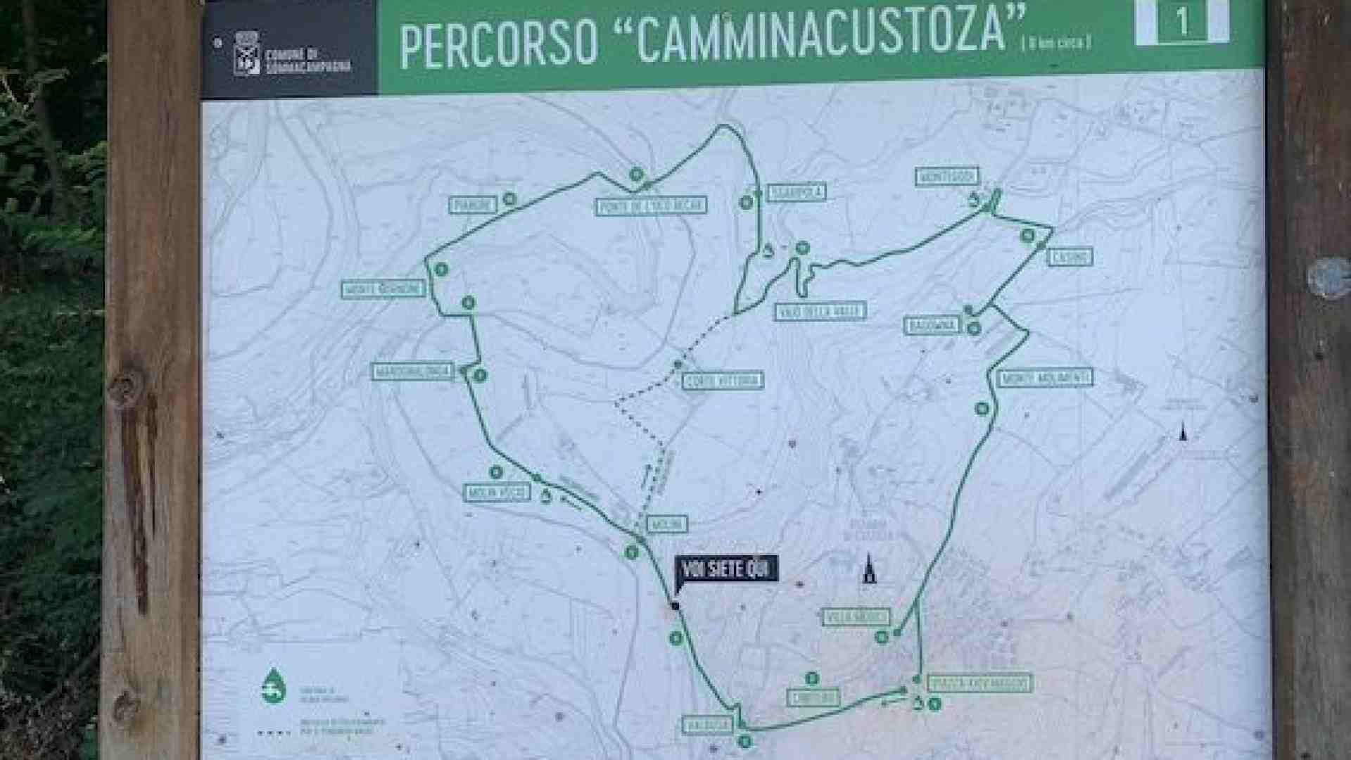 Immagine di Mulini, vigneti, tradizioni, storia: a spasso per i colli attorno a Custoza