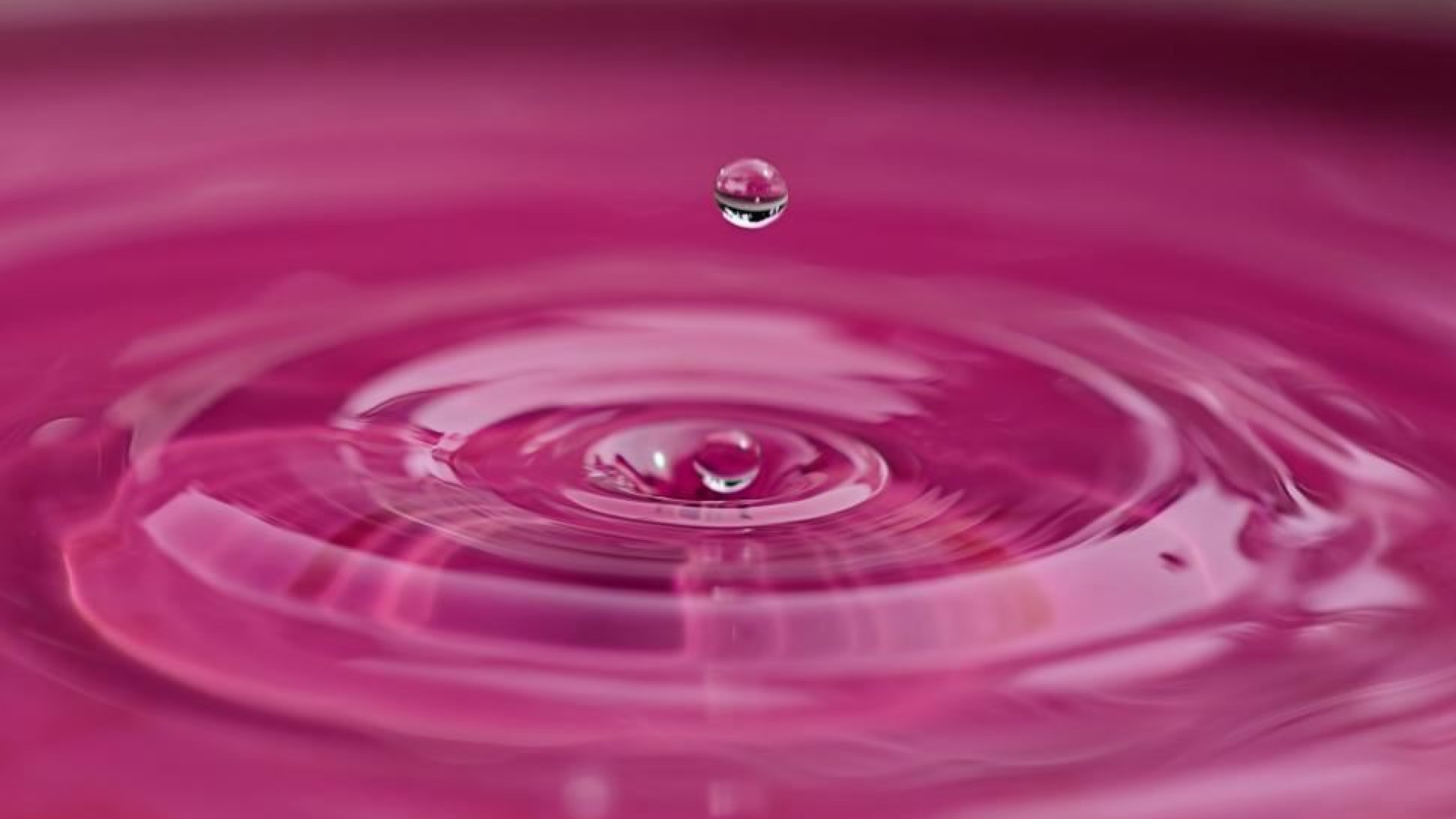 Immagine di Pink power o pink washing?