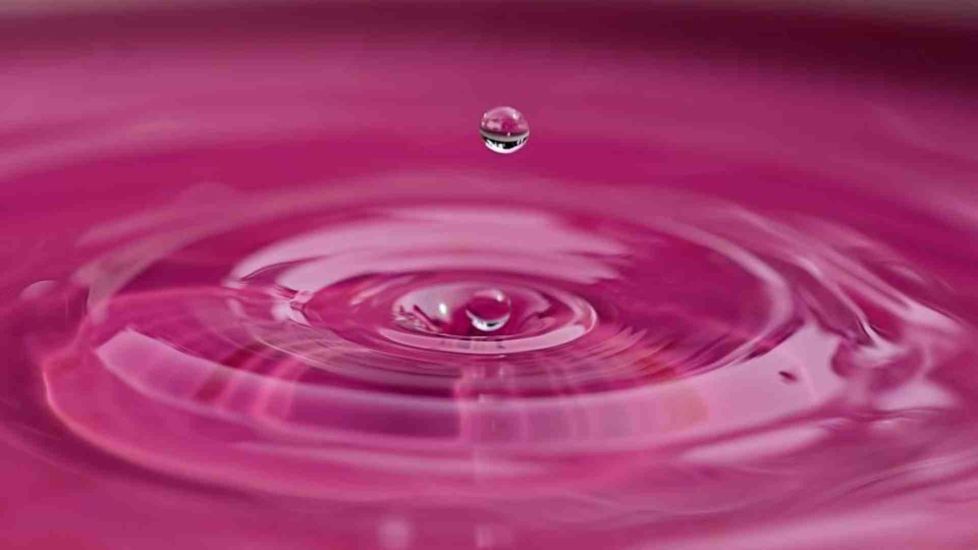 Immagine di Pink power o pink washing?