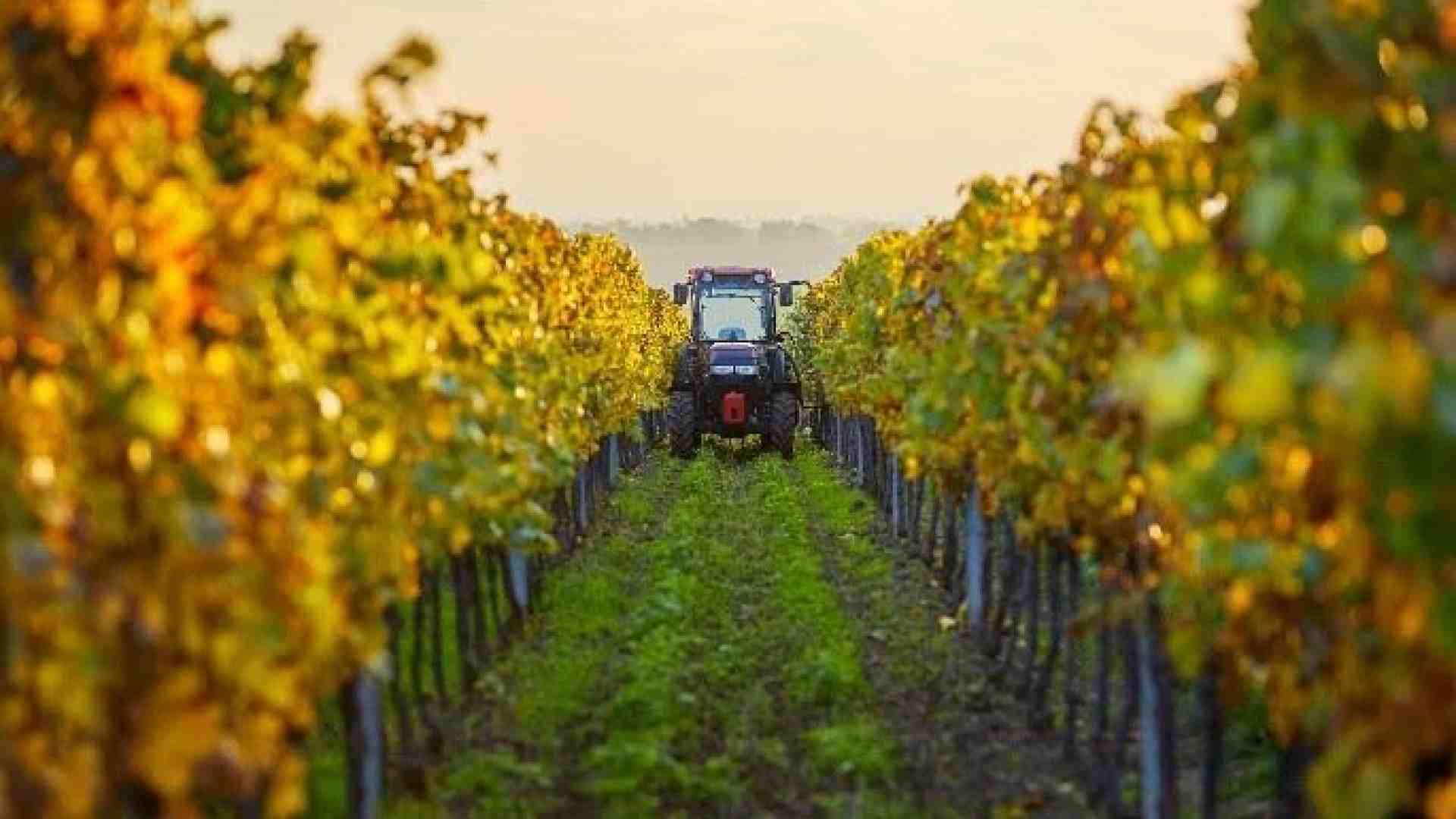 Immagine di Lavori strani e dove trovarli