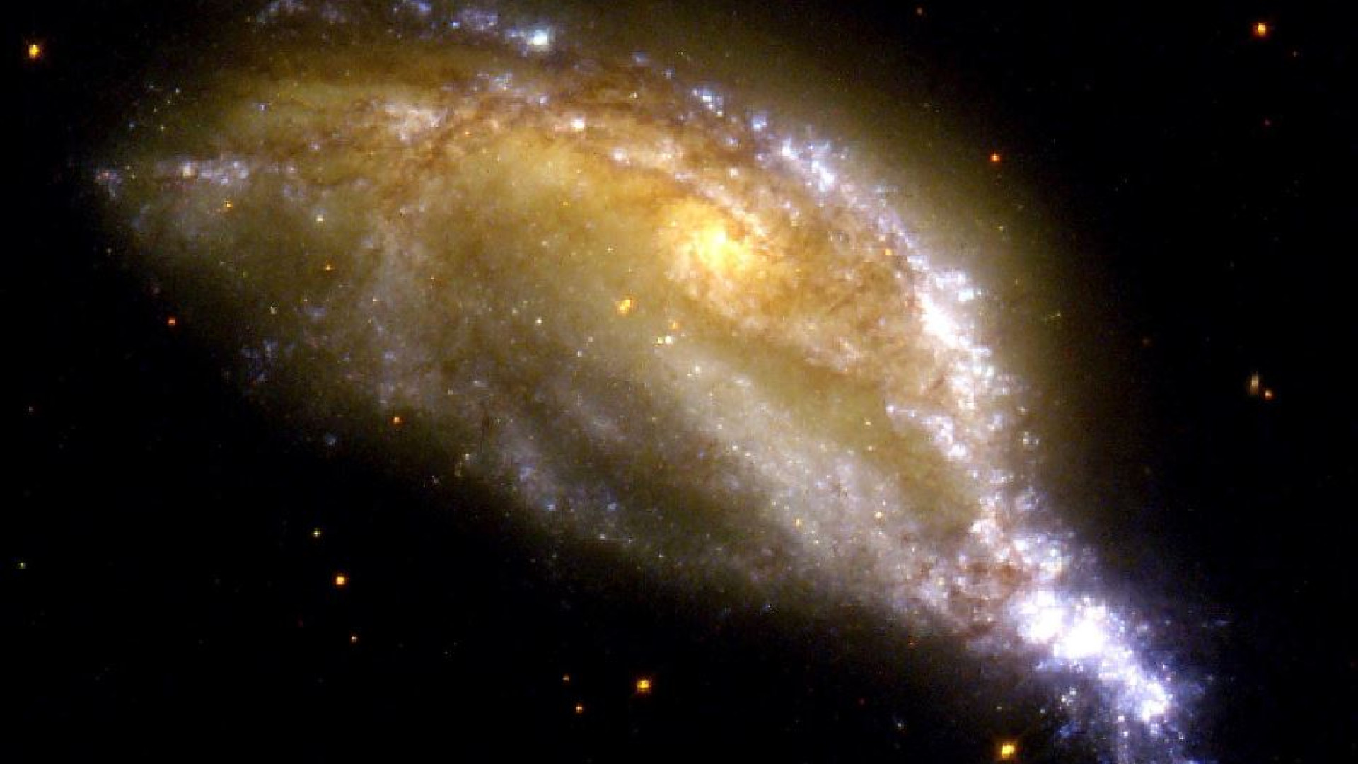 Immagine di L'evoluzione? «Legge che vale in tutto l'universo»