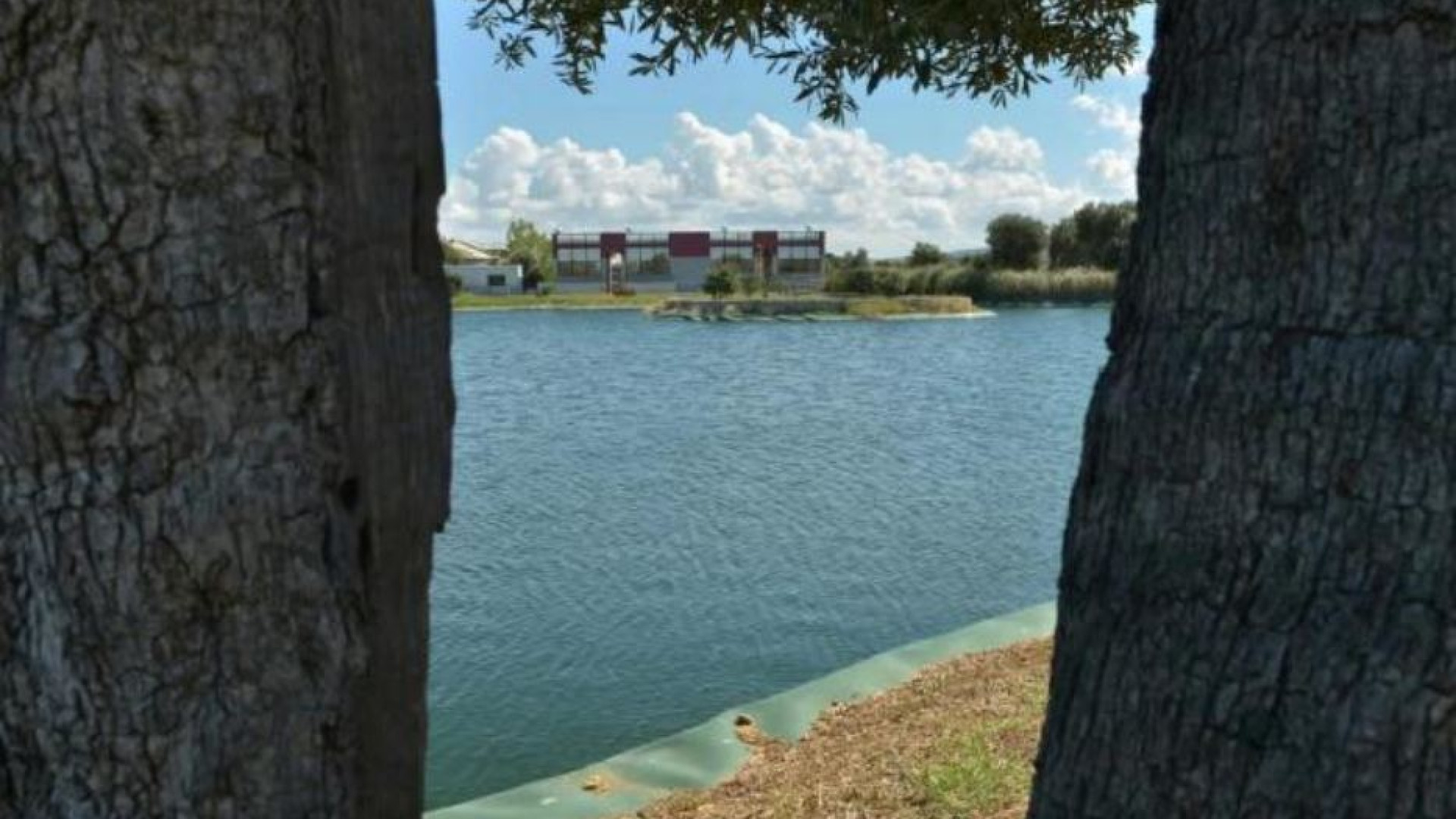 Immagine di Dal depuratore ai campi coltivati: Technoacque punta sul recupero idrico