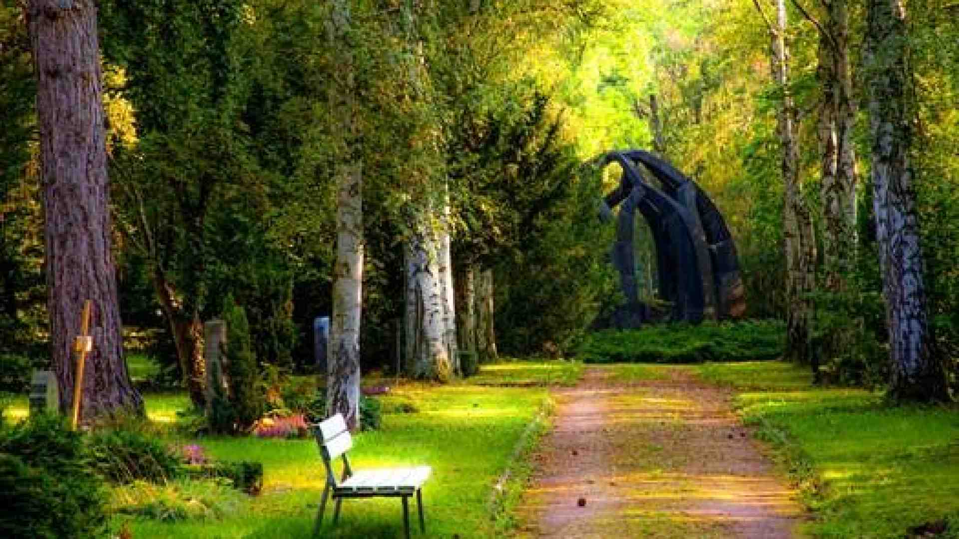 Immagine di Ridaje, così le persone fragili si prendono cura del verde