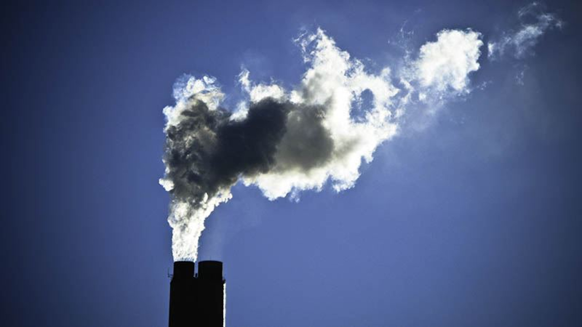 Immagine di Sulla crisi climatica o di qua o di là