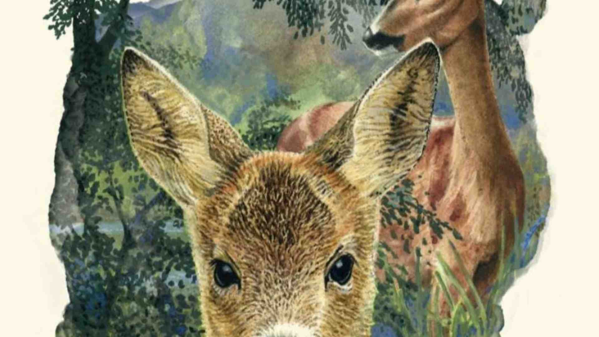 Immagine di Cento anni di "Bambi", che incantò Disney ma non era un libro per bambini