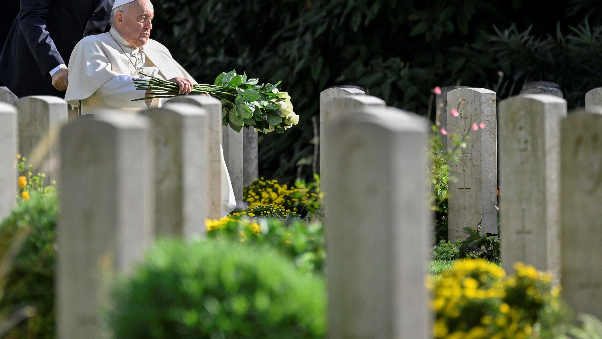 Immagine di Il Papa: non si uccida più nelle guerre