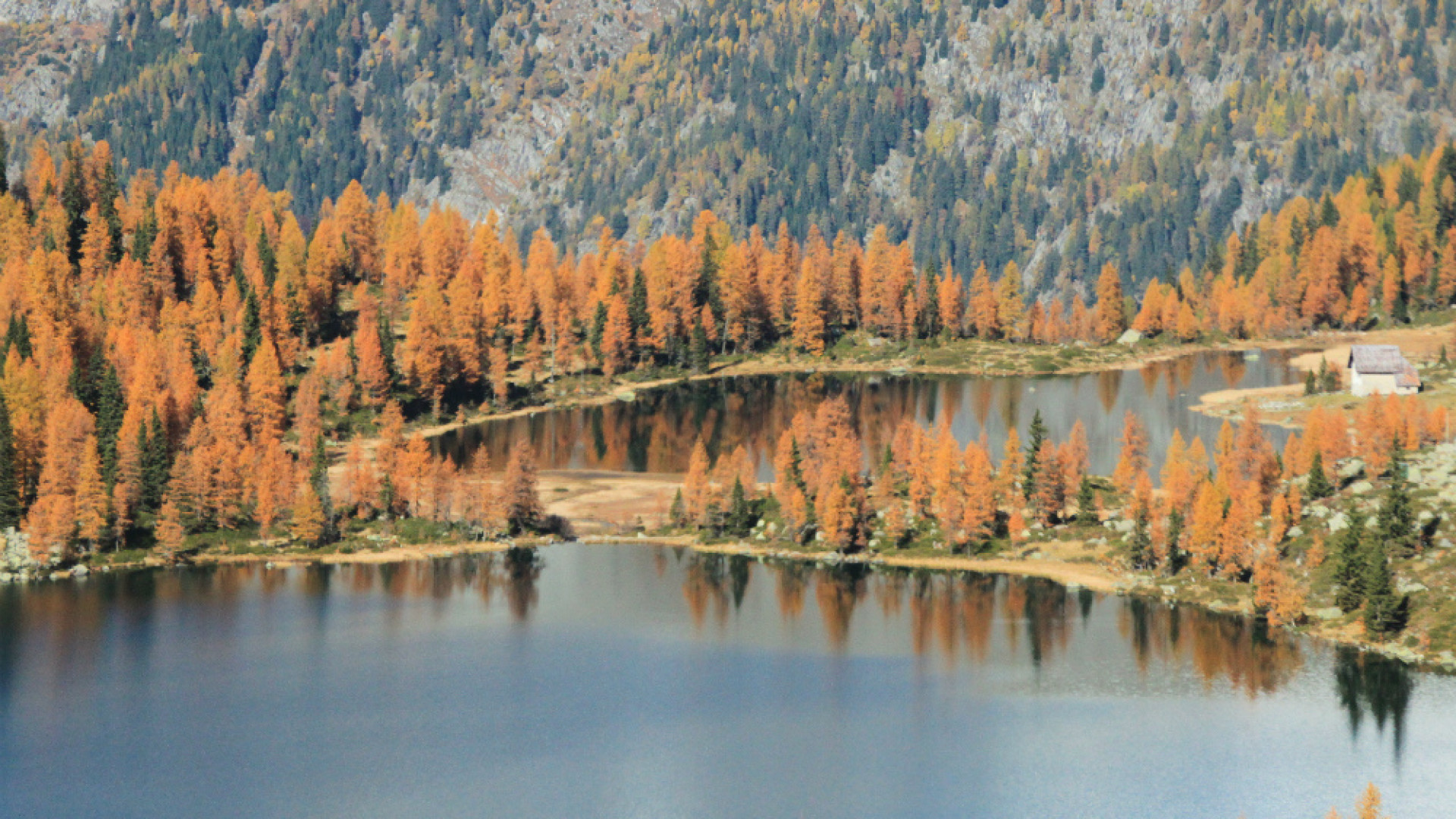 Immagine di Ai laghi di San Giuliano, lo spettacolo della natura