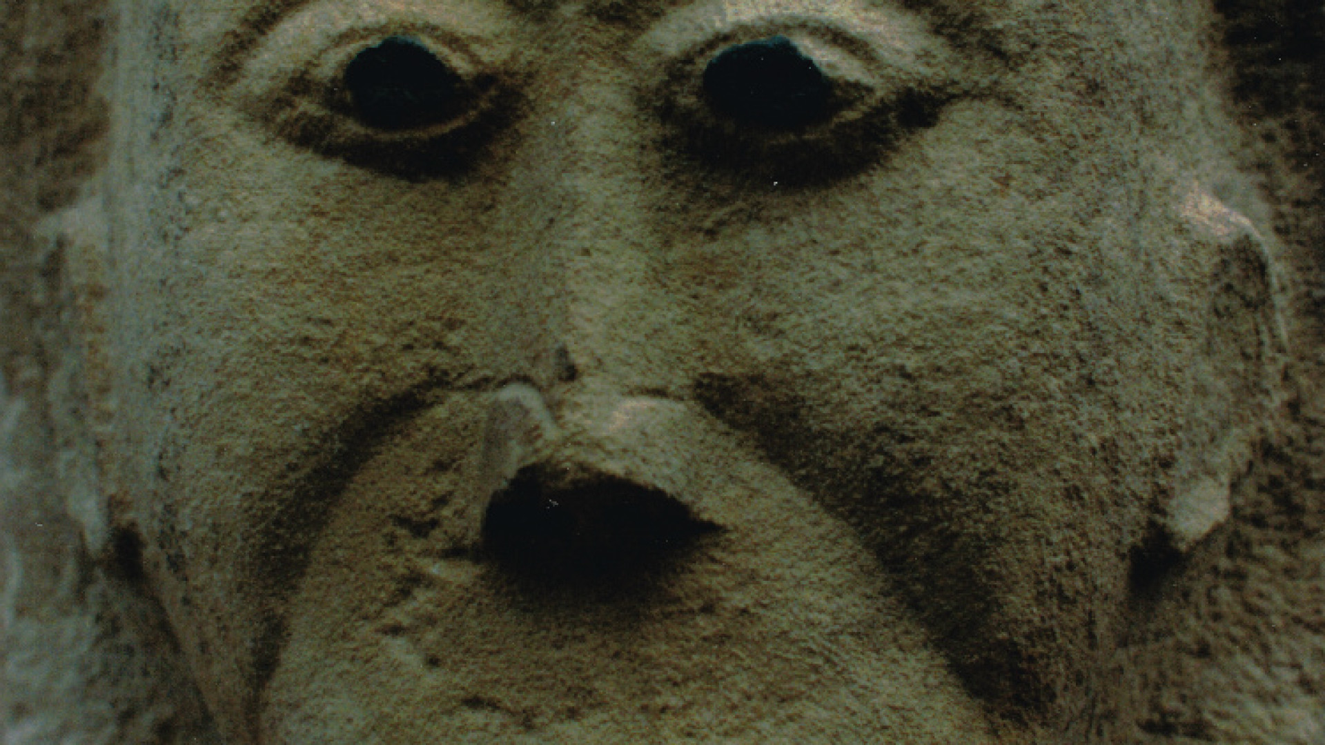Immagine di “I volti della cattedrale” Protomi e simbologia