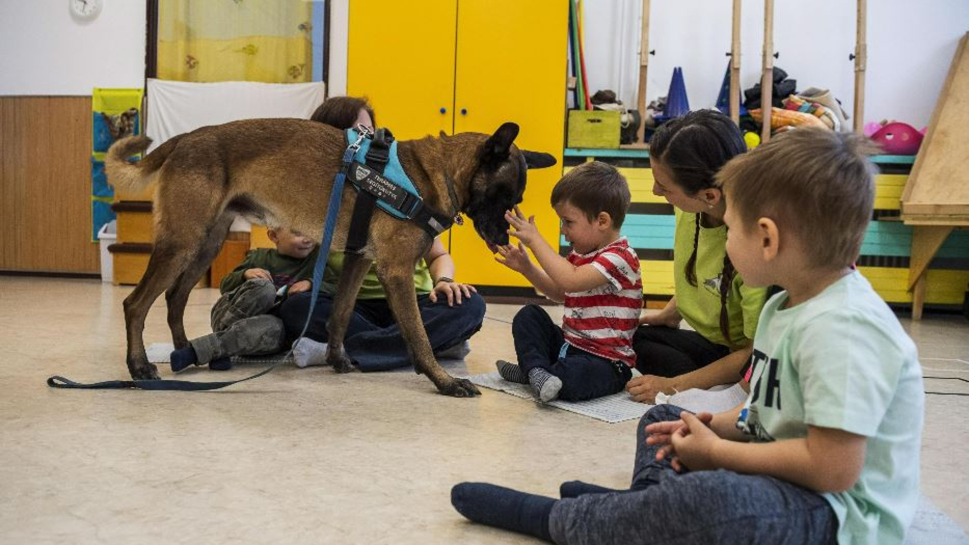 Immagine di La pet therapy per gli hikikomori. Così cani e gatti aiutano le famiglie