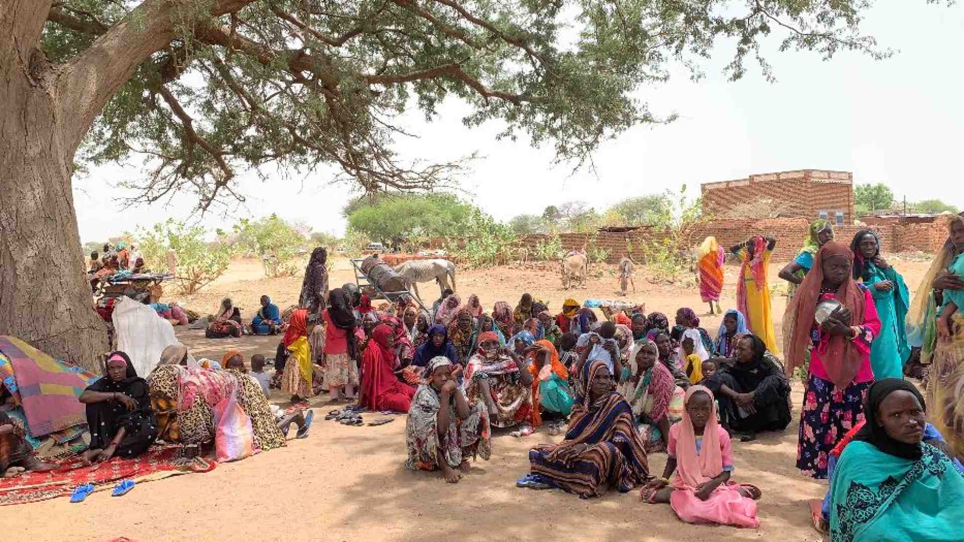 Immagine di Niente tregua, sangue in Sudan: 800 le vittime solo in Darfur