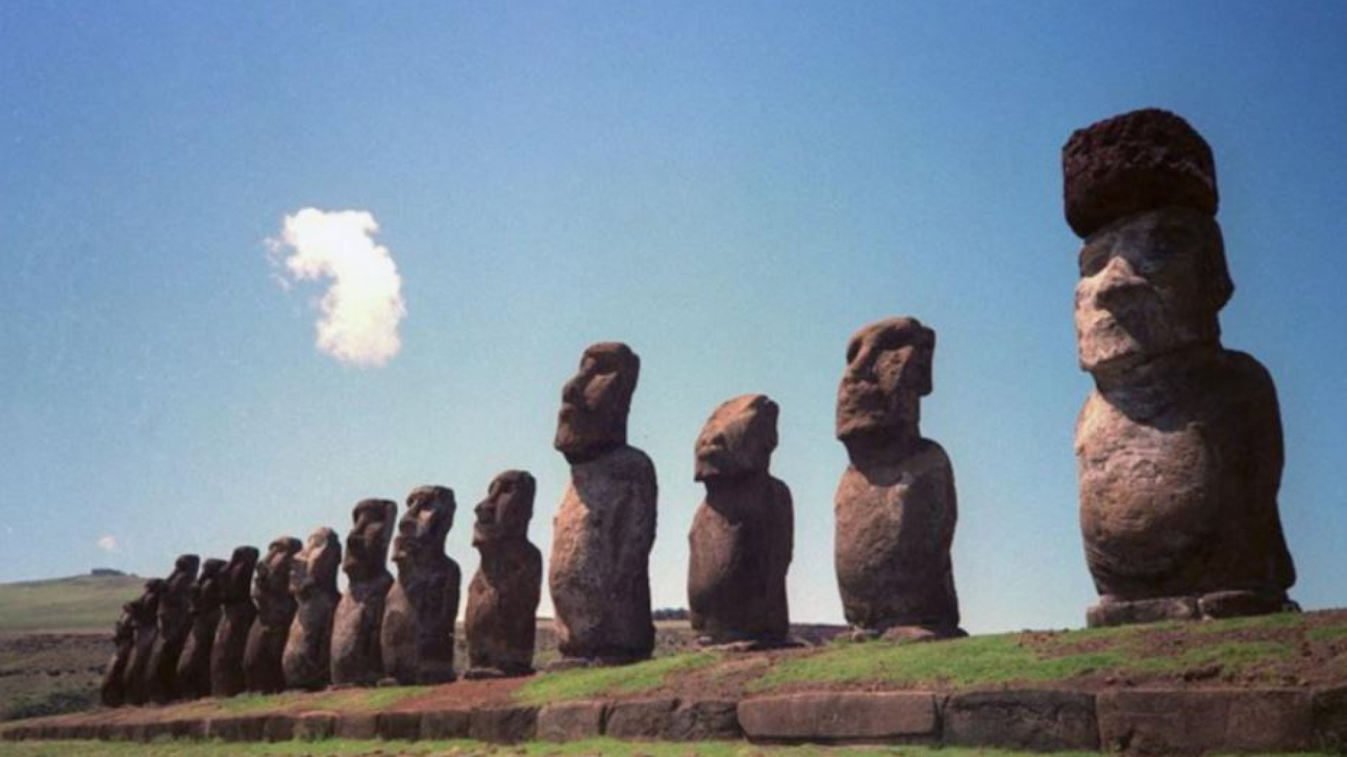 Immagine di Gli alberi e il declino di Rapa Nui: beni comuni che si devono salvare