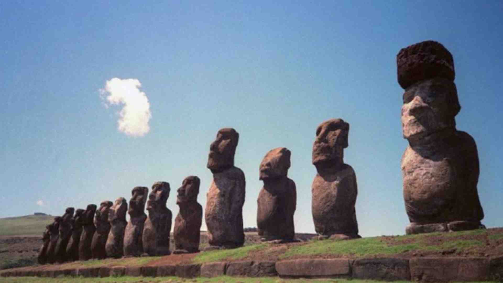 Immagine di Gli alberi e il declino di Rapa Nui: beni comuni che si devono salvare