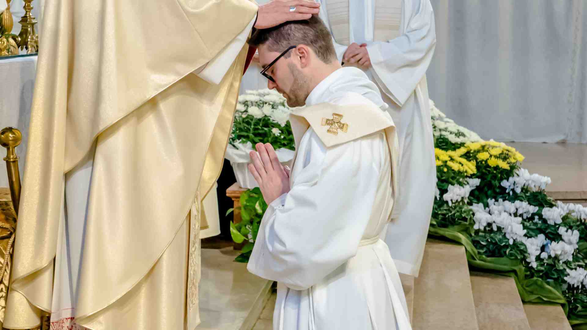 Immagine di Con lo sguardo di Gesù nei confronti del gregge