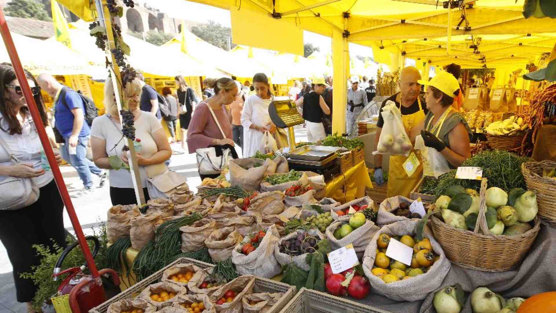 Immagine di Il cibo è la prima ricchezza del Paese: ecco quanto vale la sua filiera