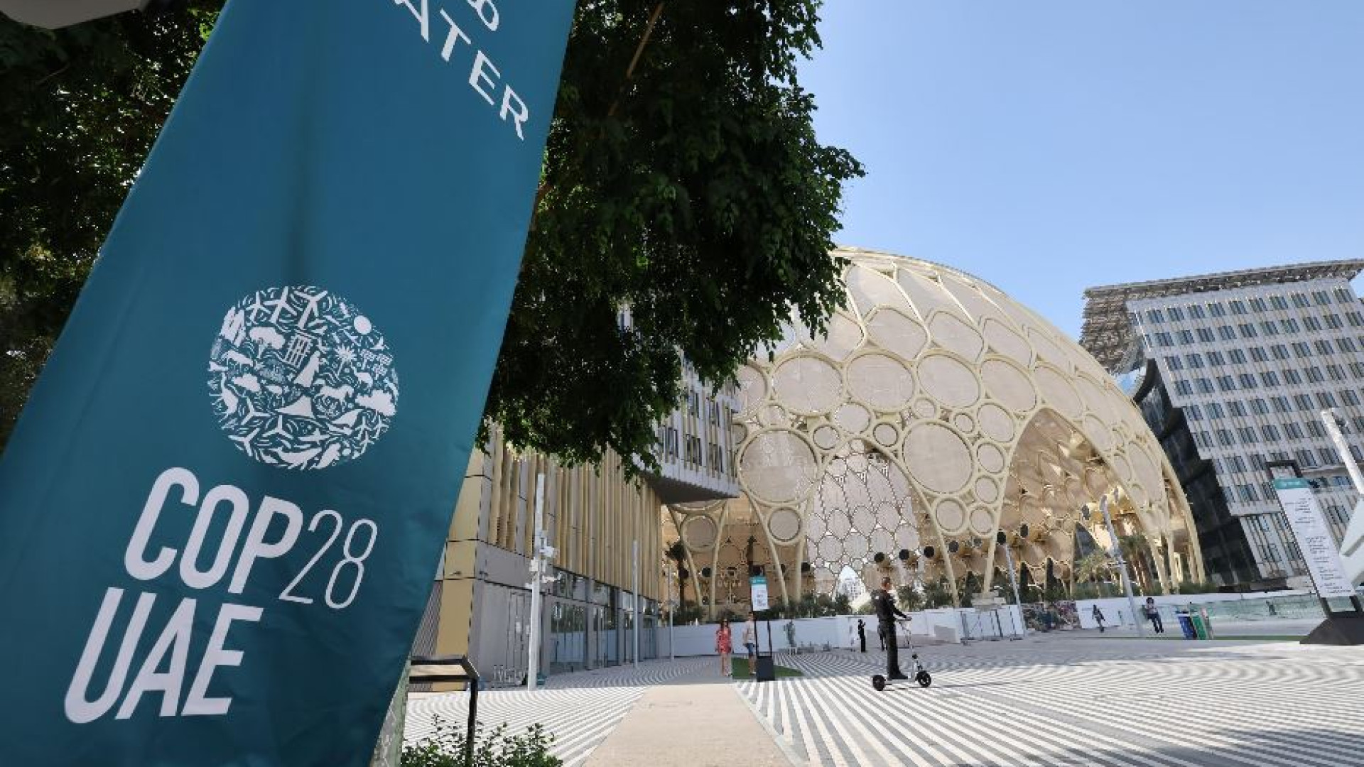 Immagine di I quattro punti chiave al vertice sul clima negli Emirati Arabi Uniti