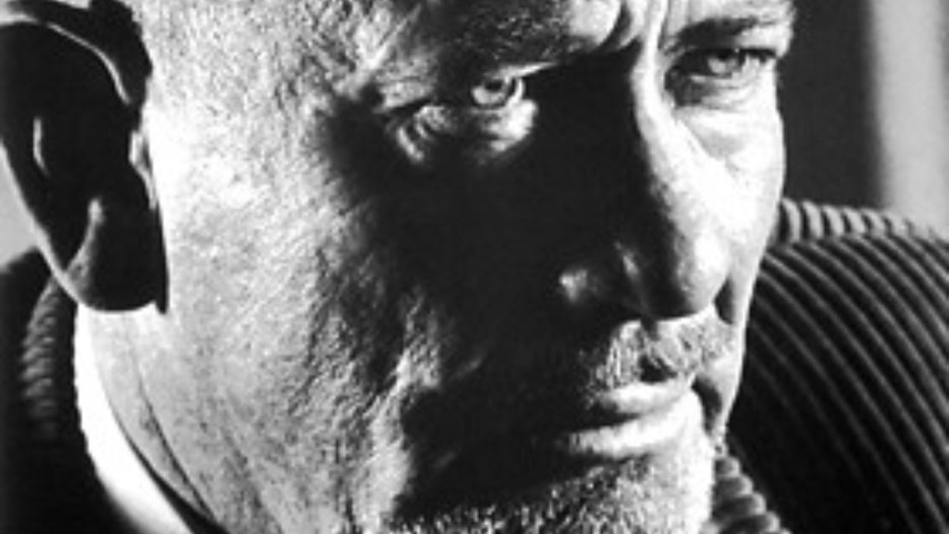 Immagine di John Steinbeck cantore delle gesta degli ultimi
