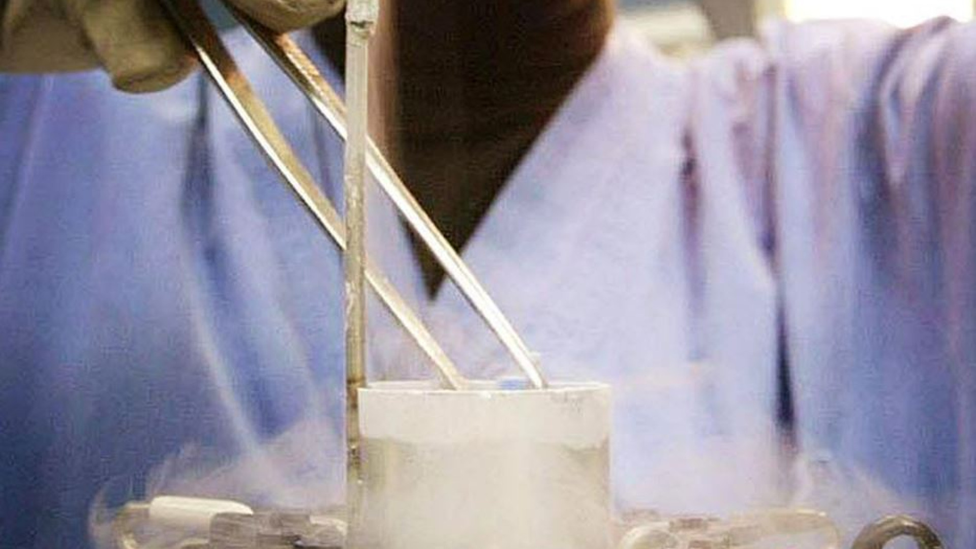 Immagine di 61mila embrioni congelati in un anno. E ora paga lo Stato