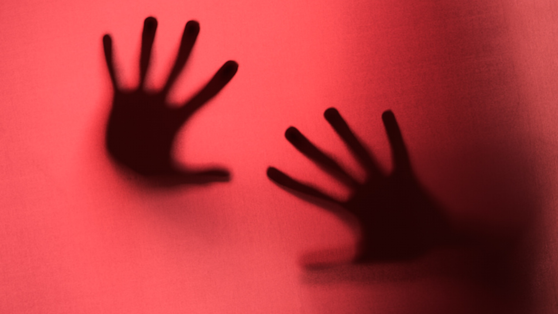 Immagine di Non solo psicologia, serve studiare in modo trasversale e porsi delle domande sulle cause organiche di certi comportamenti delittuosi