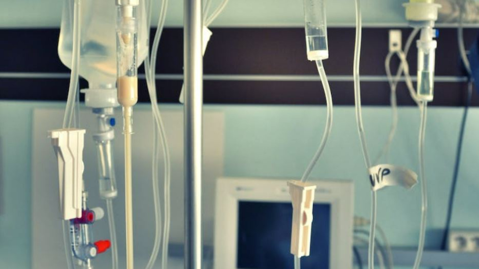 Immagine di Eutanasia «per vita completata», la via olandese al “diritto di morire”