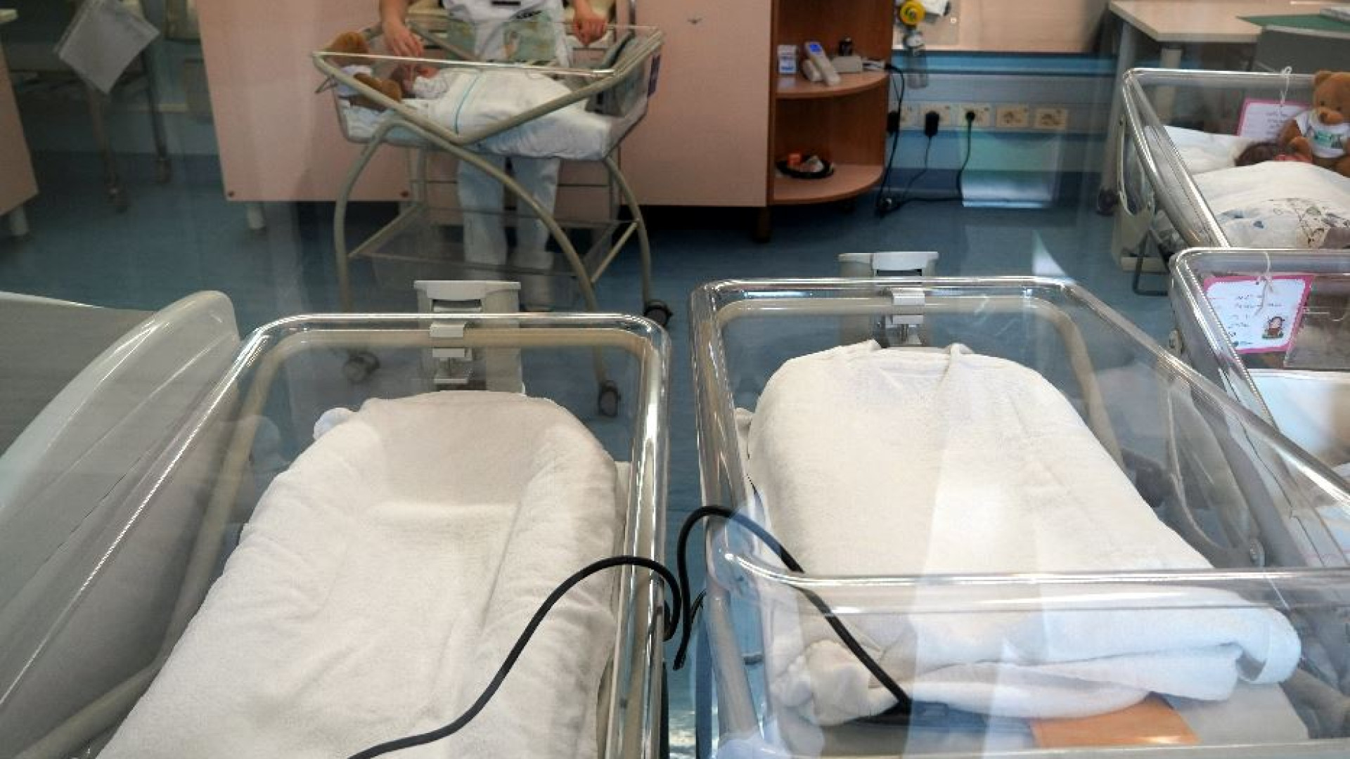 Immagine di «Adozioni forzate, 30mila neonati sottratti alle madri». Le scuse dei vescovi