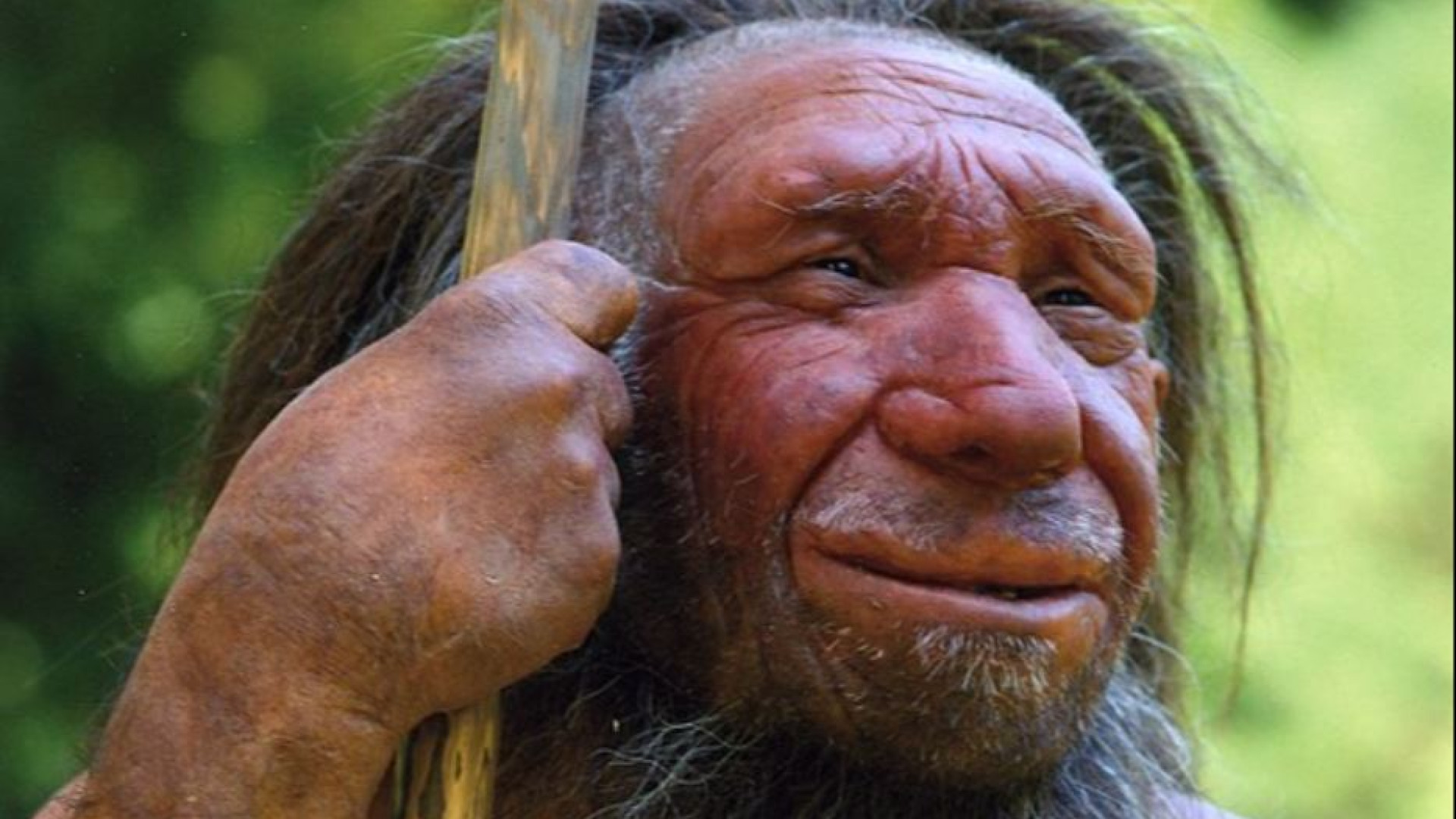 Immagine di Se siamo mattinieri è perché siamo un po' Neanderthal