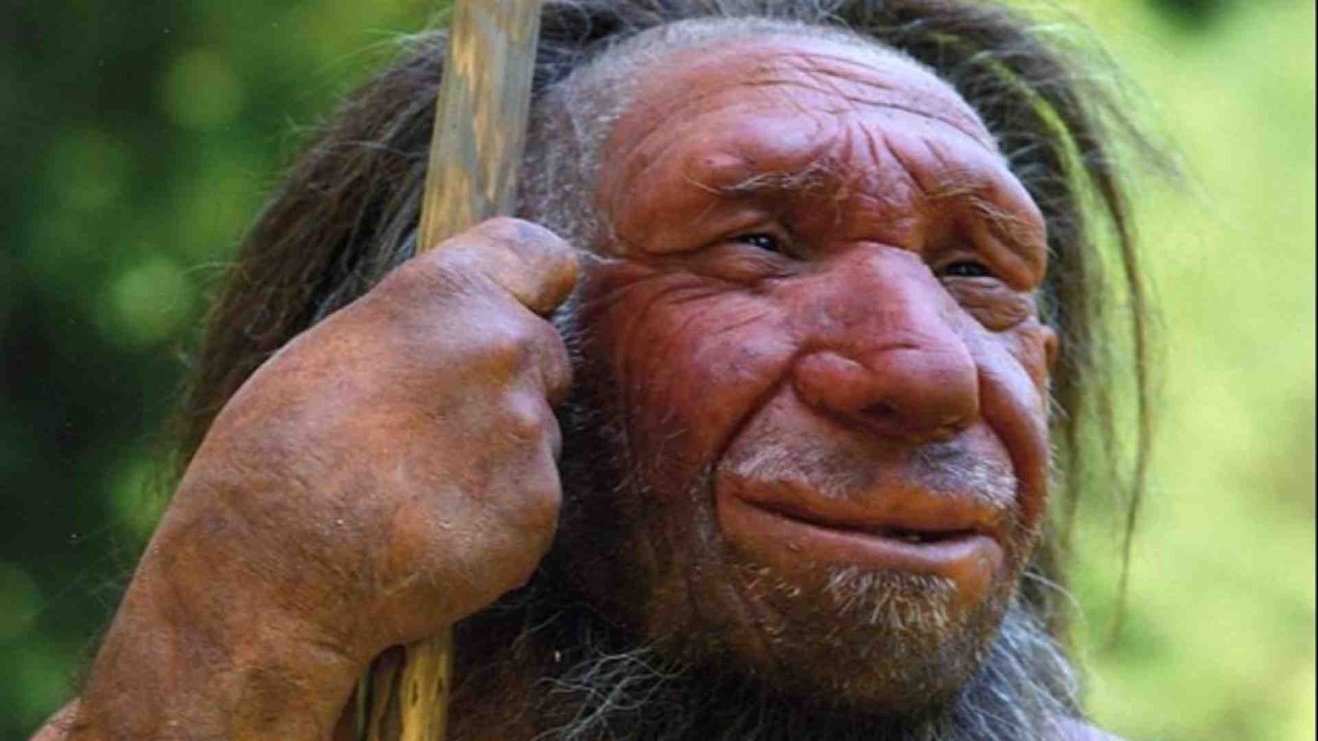 Immagine di Se siamo mattinieri è perché siamo un po' Neanderthal