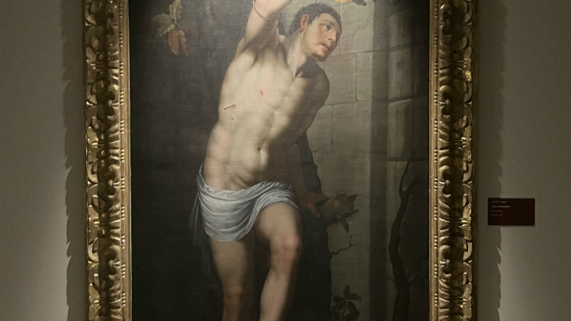 Immagine di «Il S. Sebastiano è la vera star del momento»