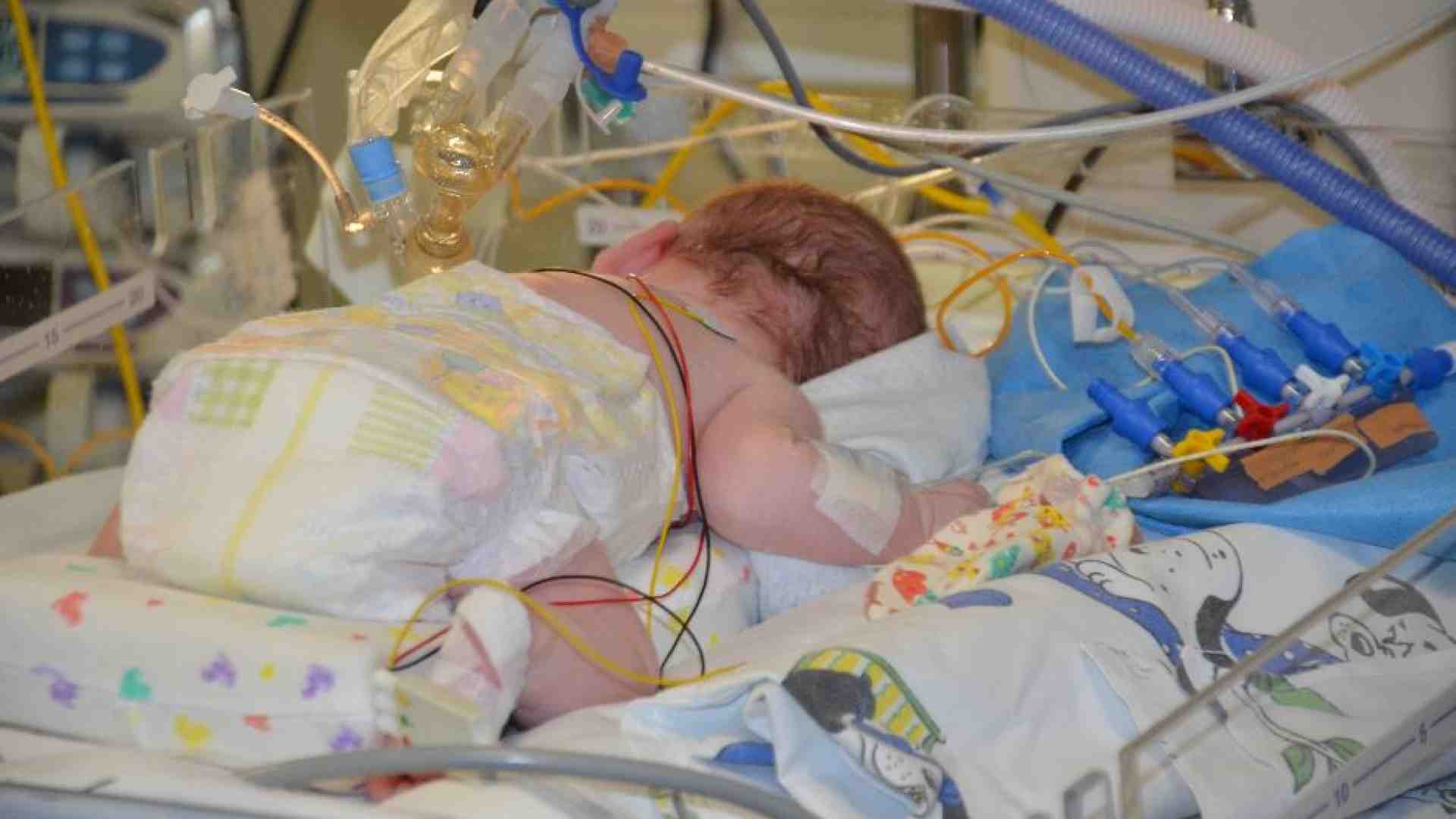 Immagine di La bioingegneria ferma la spina bifida