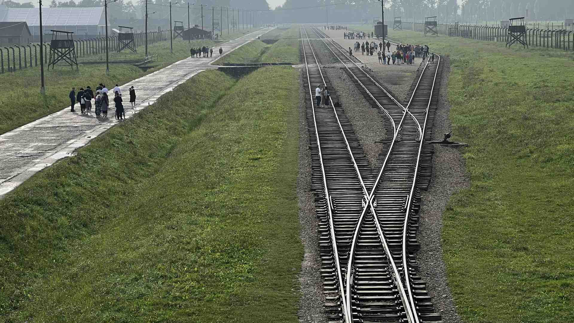 Immagine di Avere memoria per dire mai più: salviamo @AuschwitzMuseum