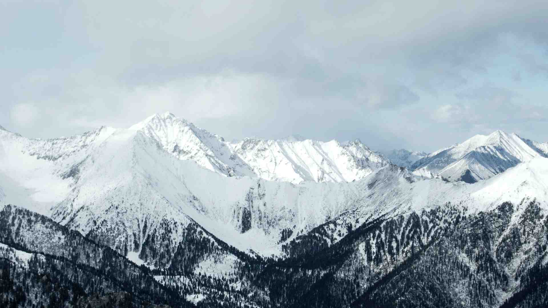 Immagine di Ignorare da quali ricche montagne innevate arrivino le solite gelide analisi