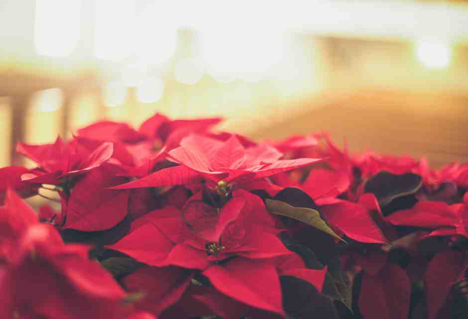 (Unsplash)