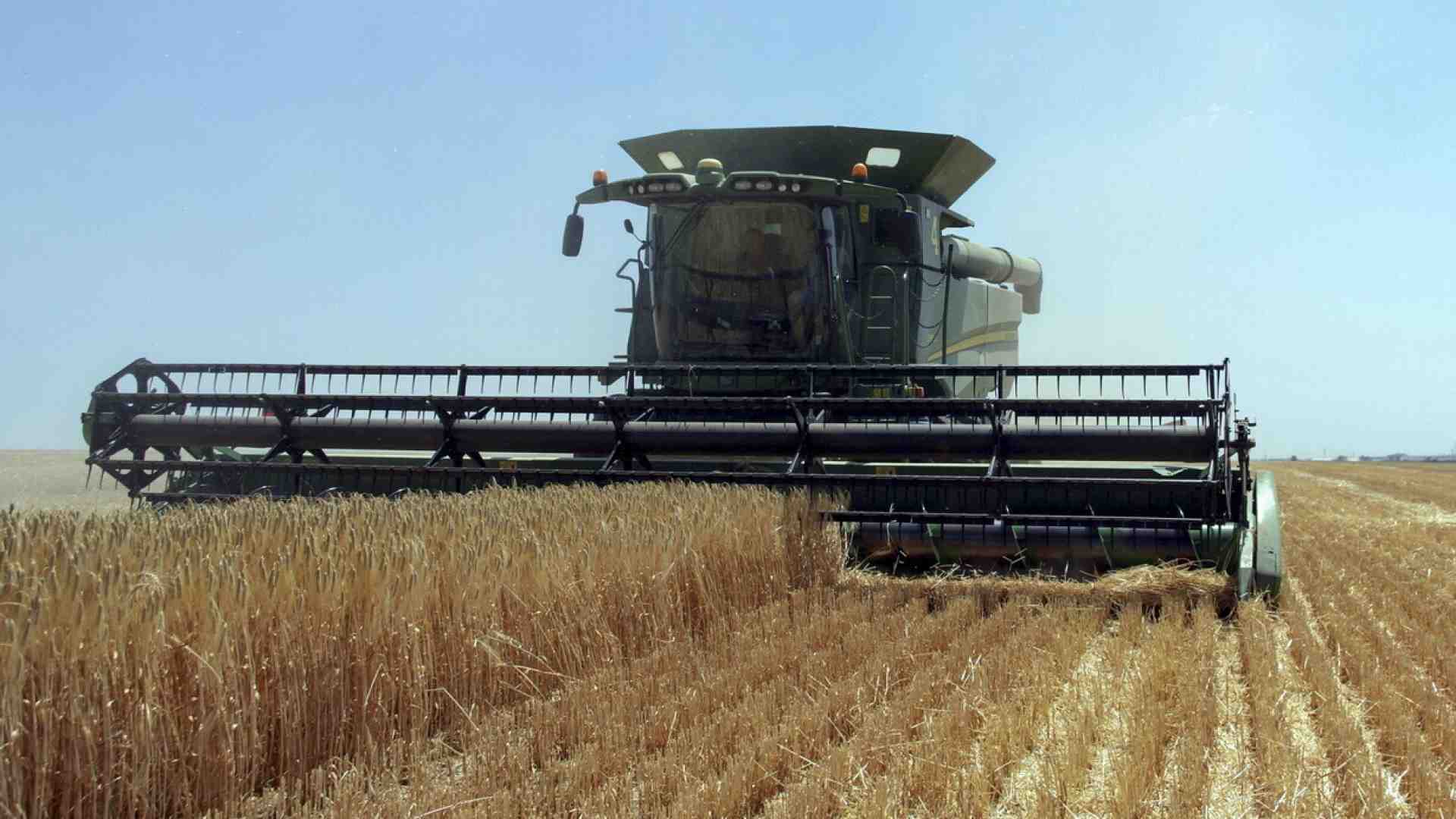 Immagine di In cinque mesi Kyiv ha ripristinato le rotte del grano senza Mosca